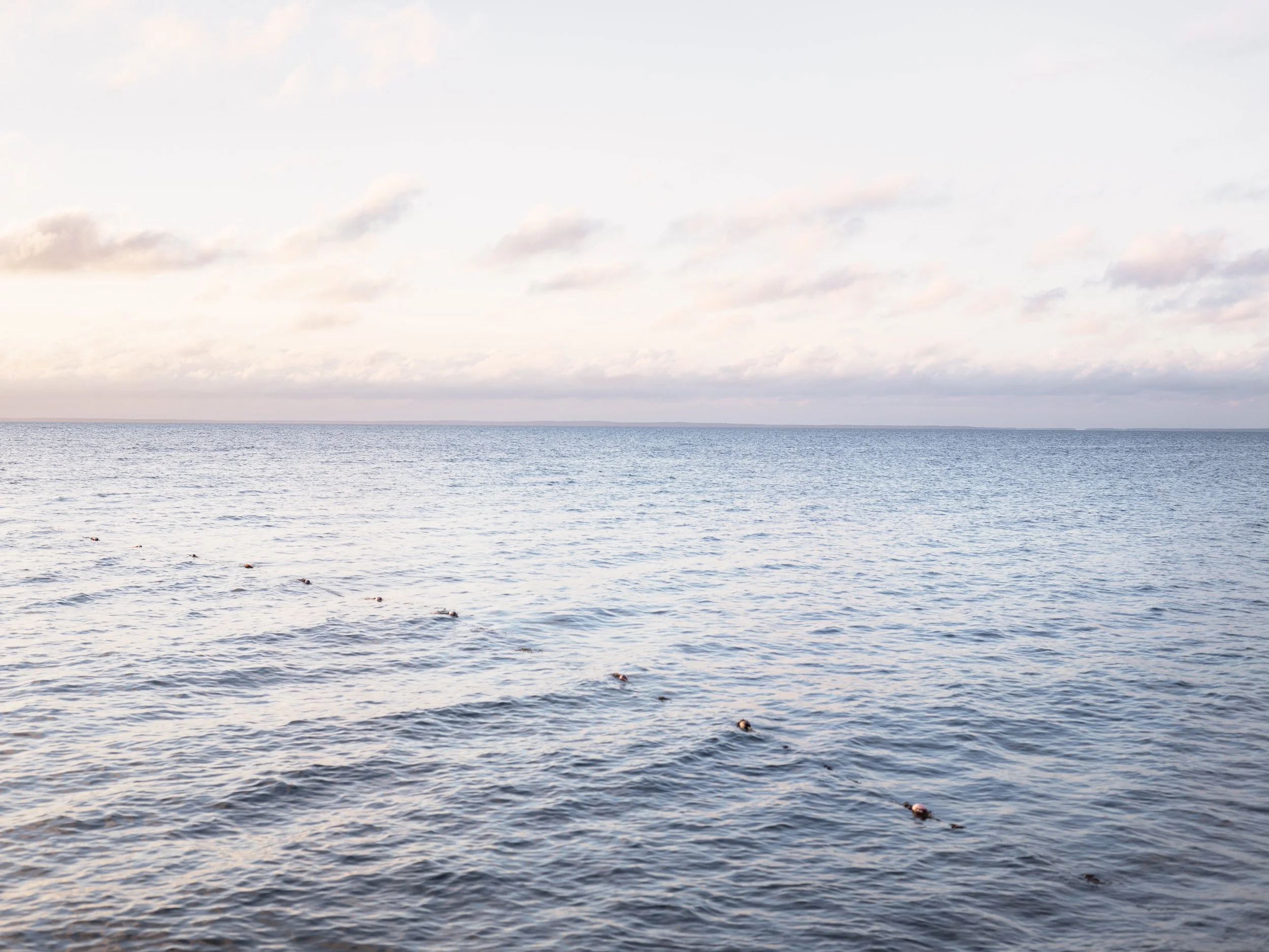 Changing Seas #003424-25