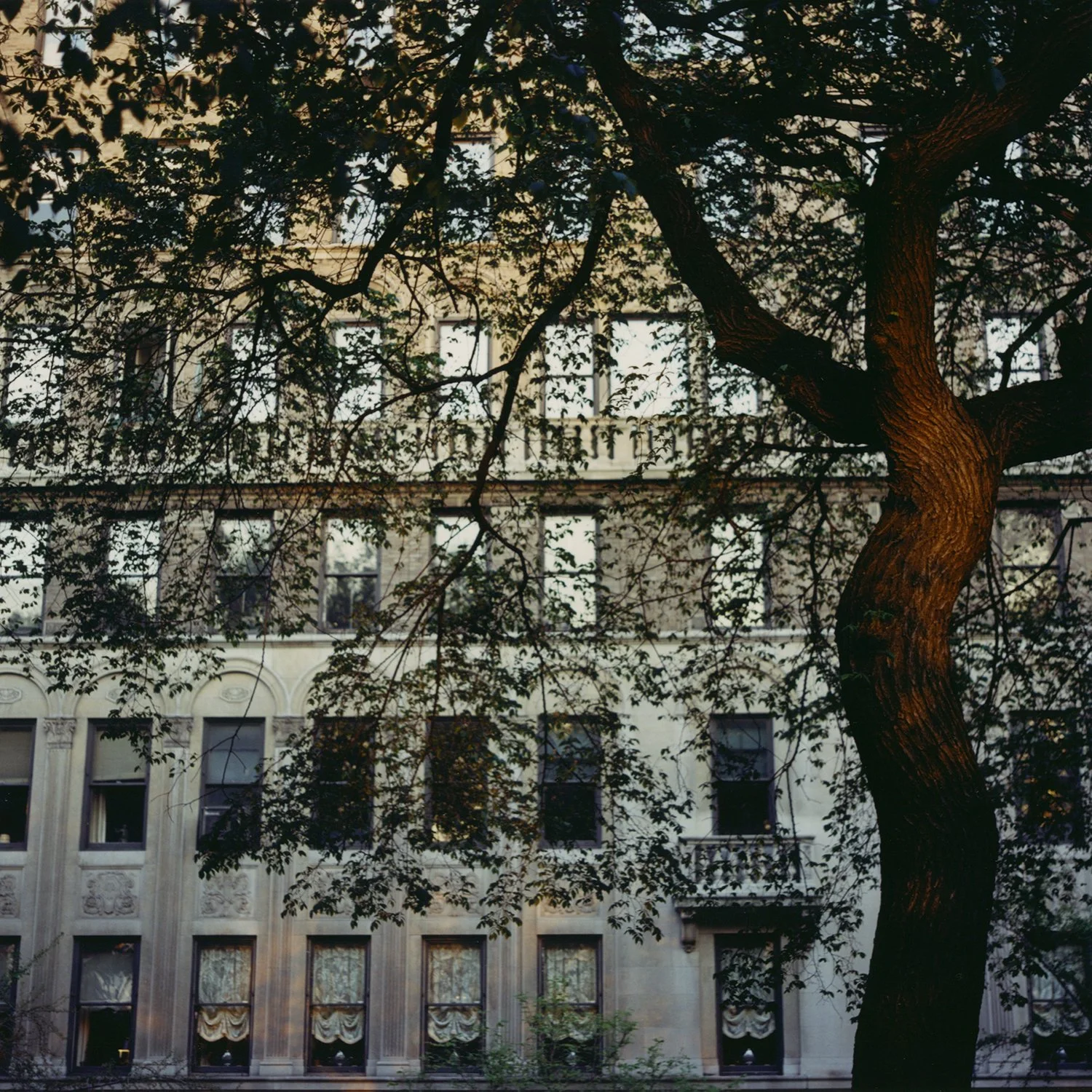Fifth Avenue N.Y.C