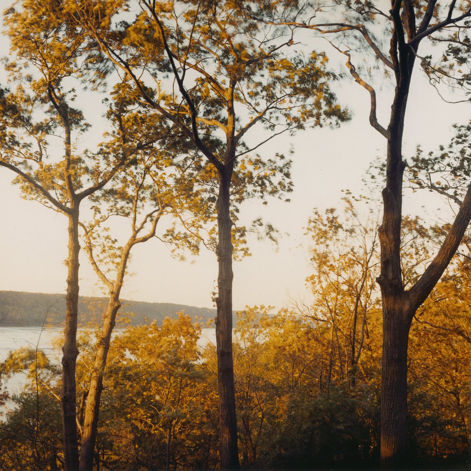 Hudson River at the Cloisters