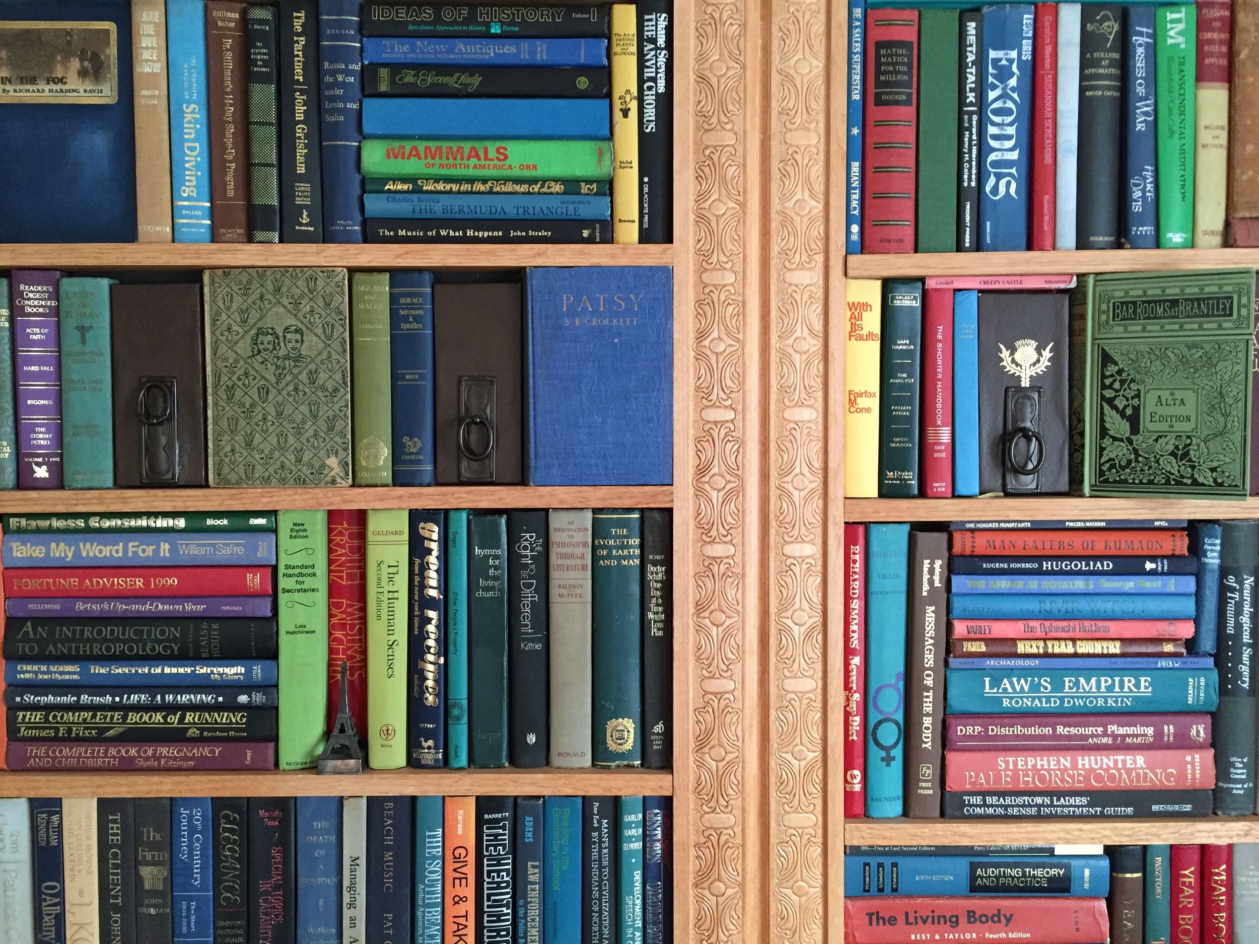 File Apr 27, 4 39 50 PM.jpeg