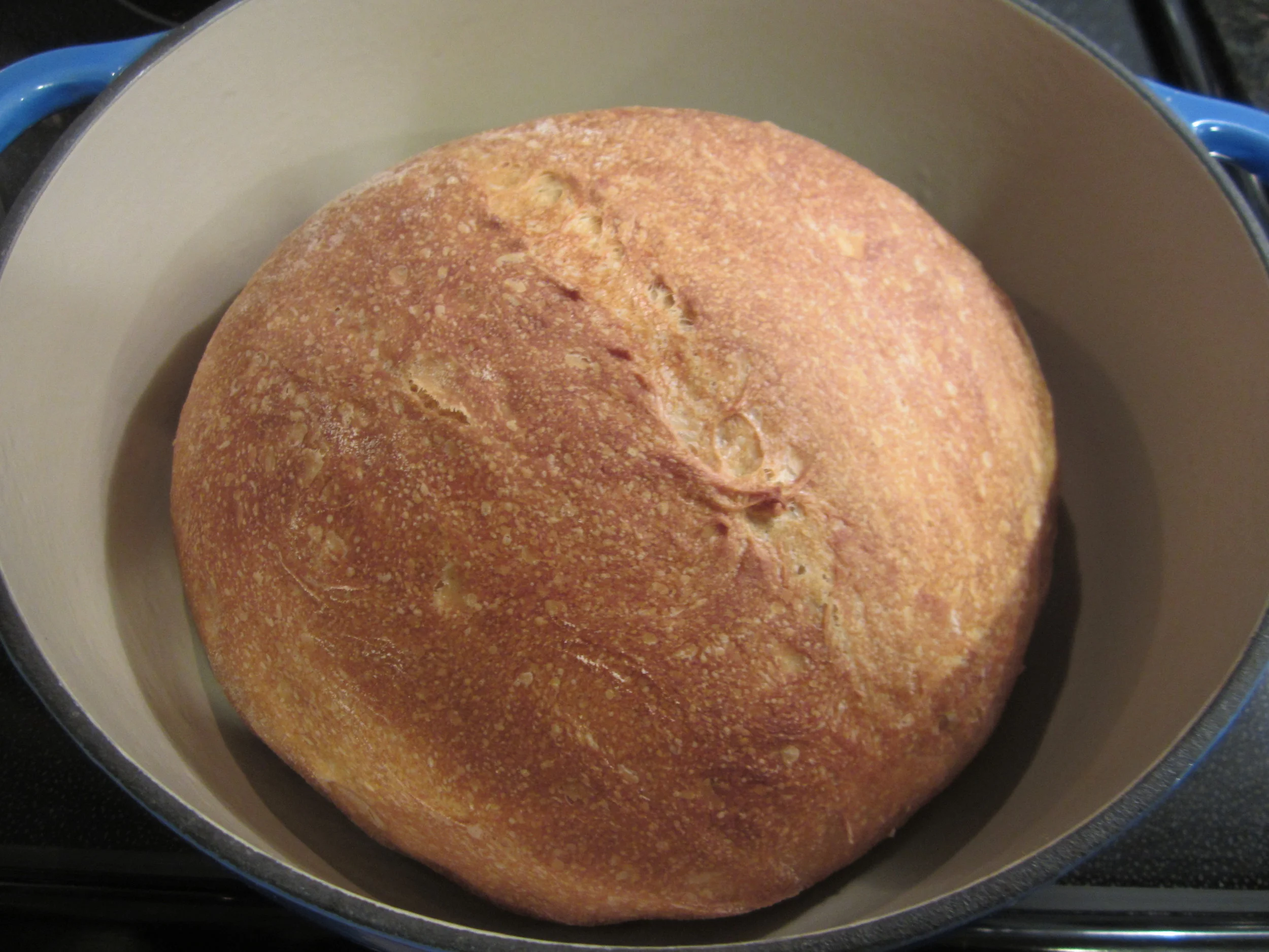 Spelt v. Wheat and FODMAPs