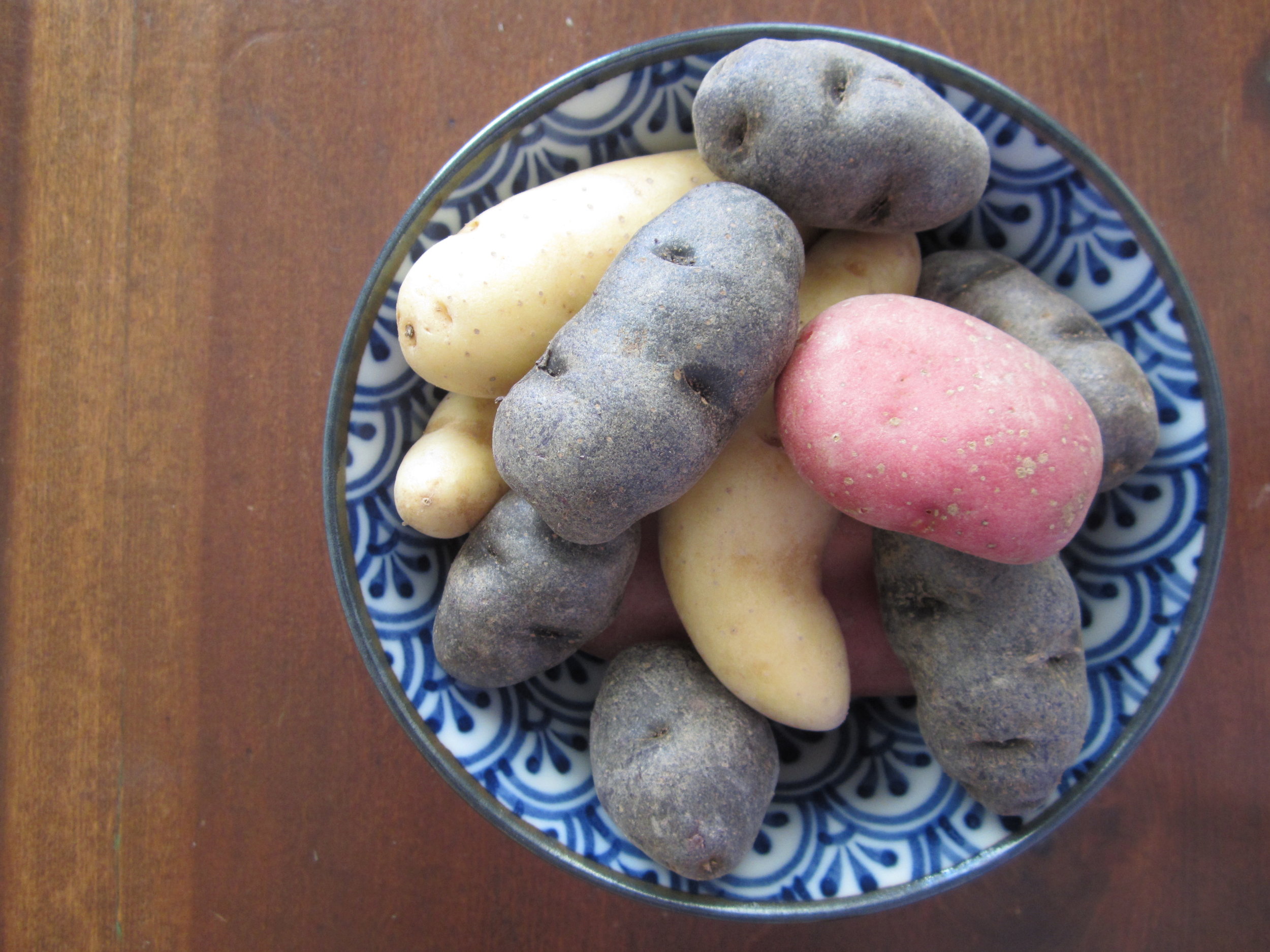 Is Starch Low Fodmap Is Starch Low Fodmap