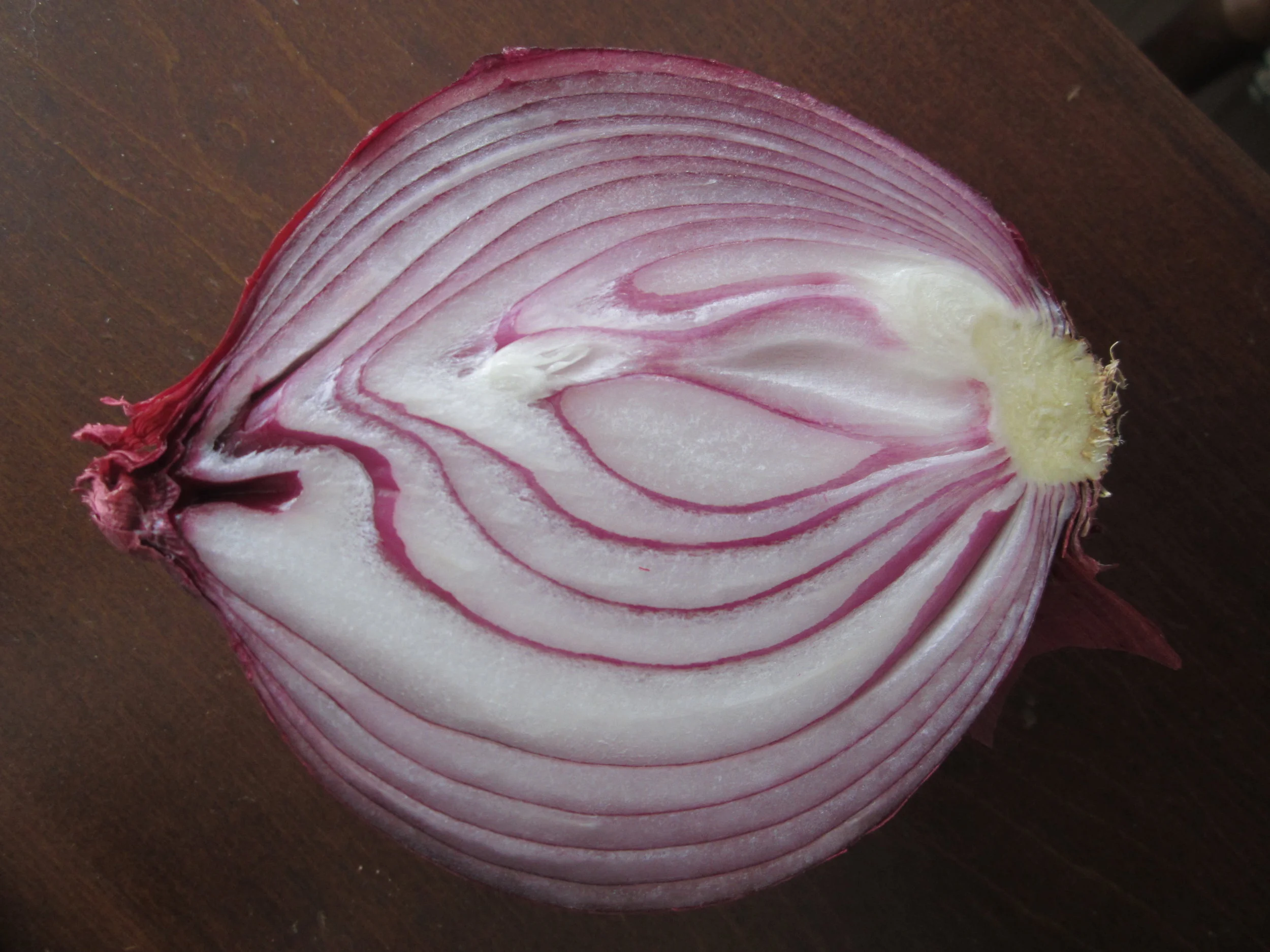 Digestive Enzymes During the Elimination Phase