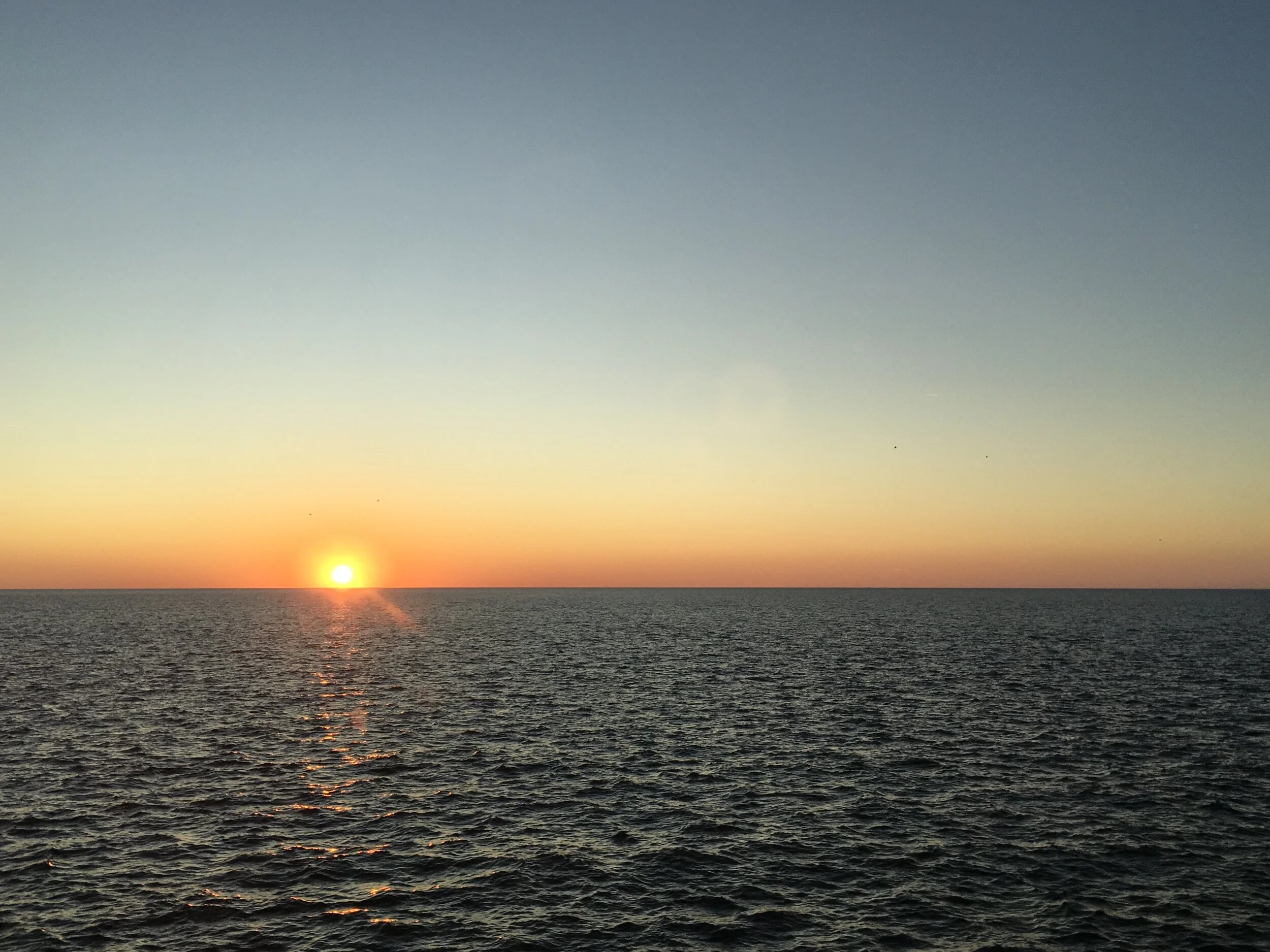 Great Beginnings: Figure Out Your IBS Food Triggers with Low-FODMAP Diet