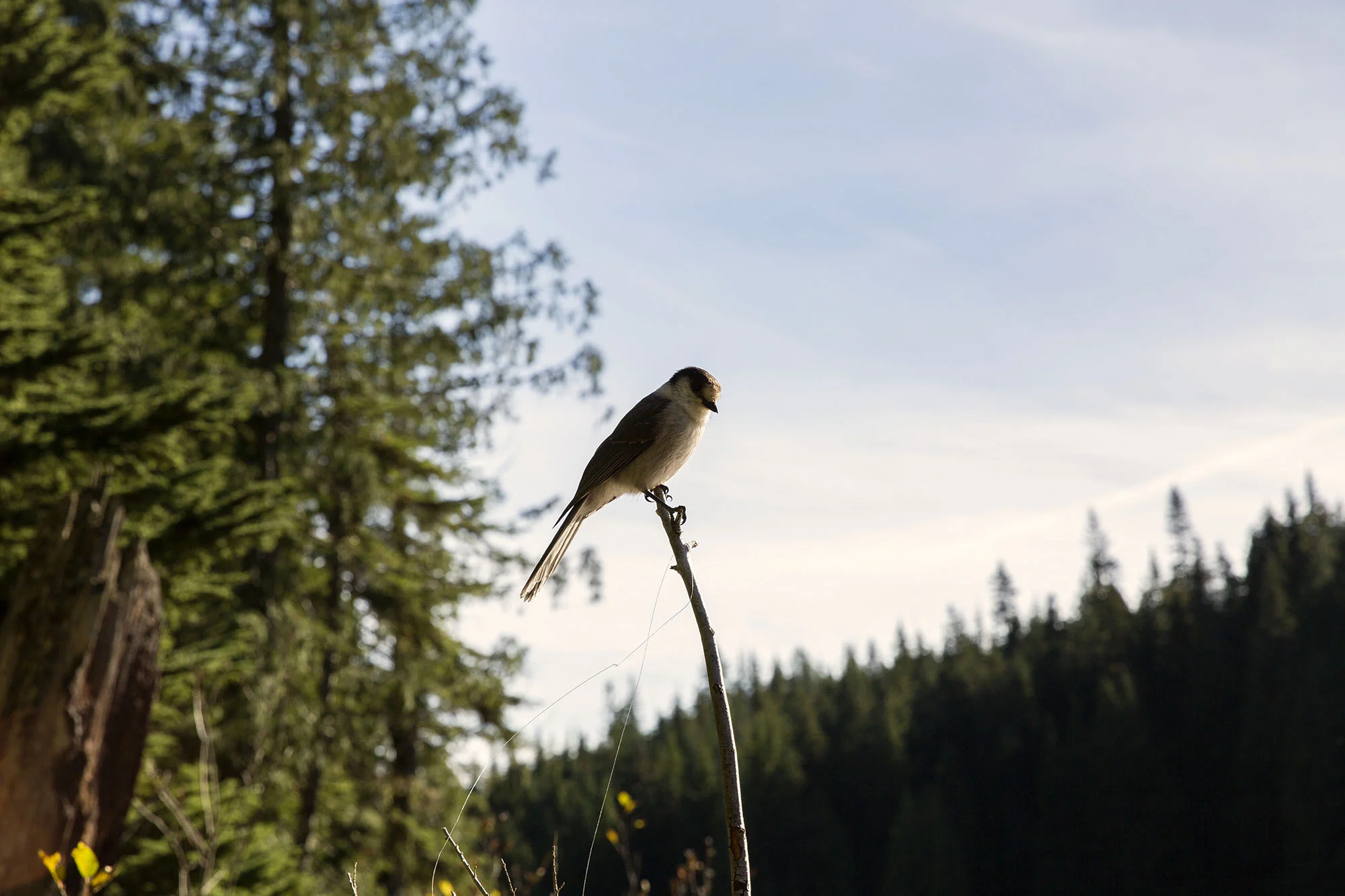 Talapus Lake, WA