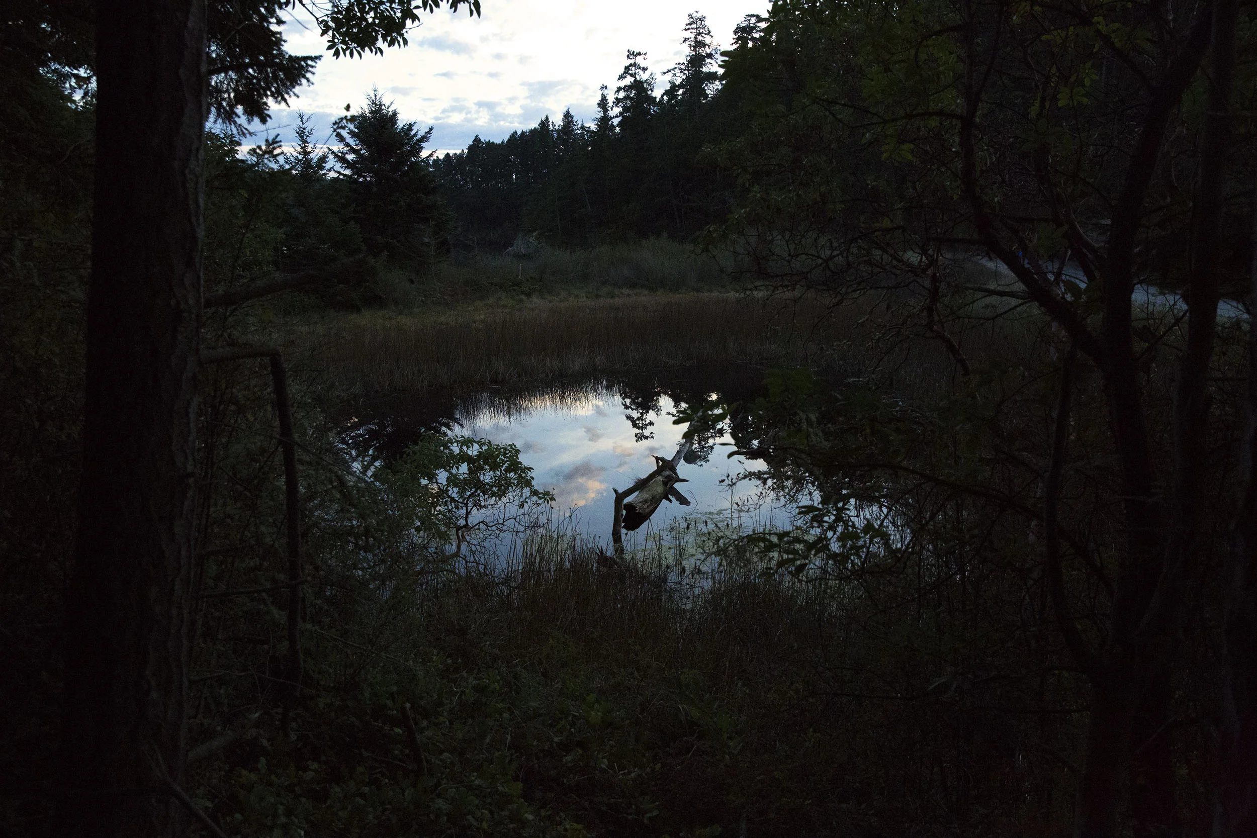 Reflections near Deception Pass, WA