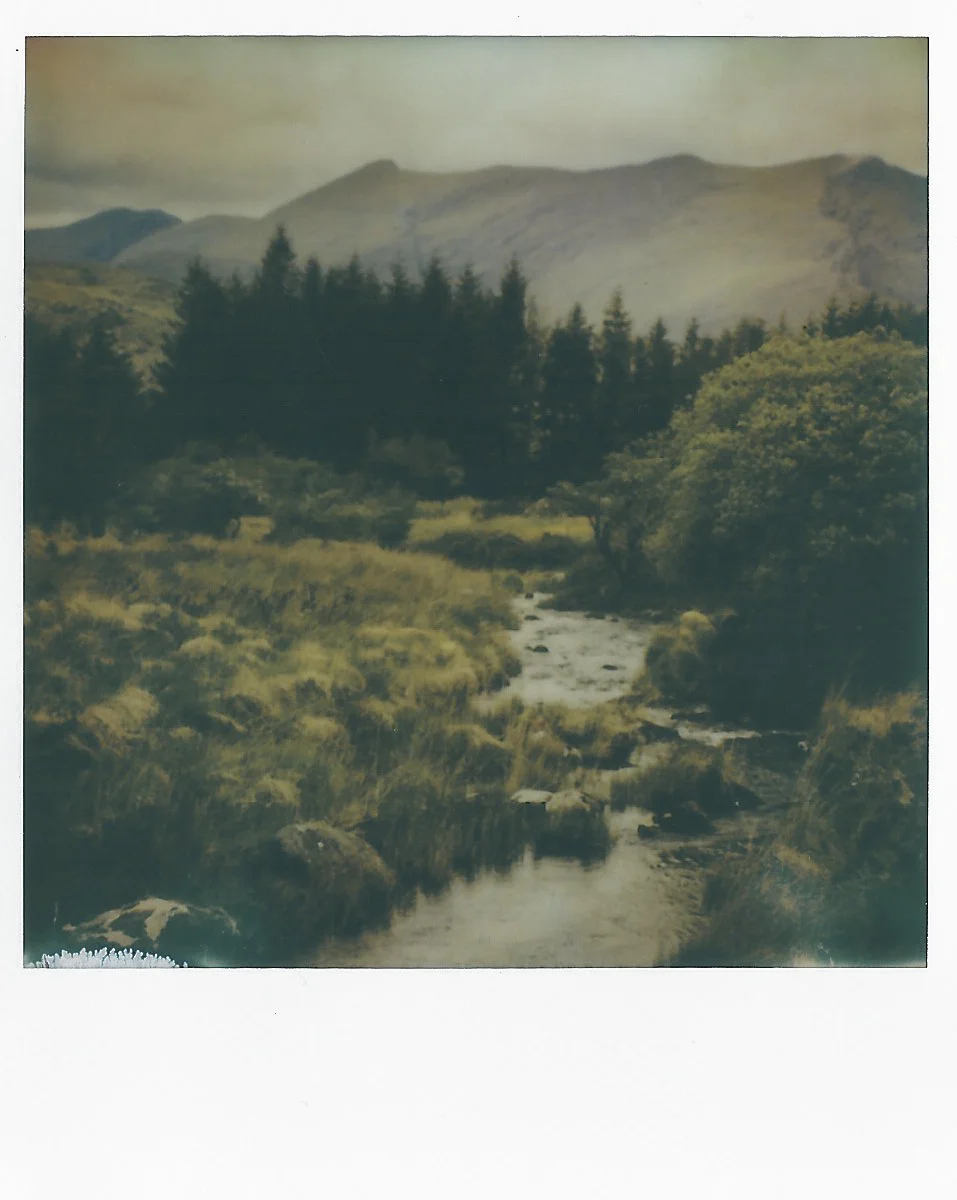SCAN0498.jpg