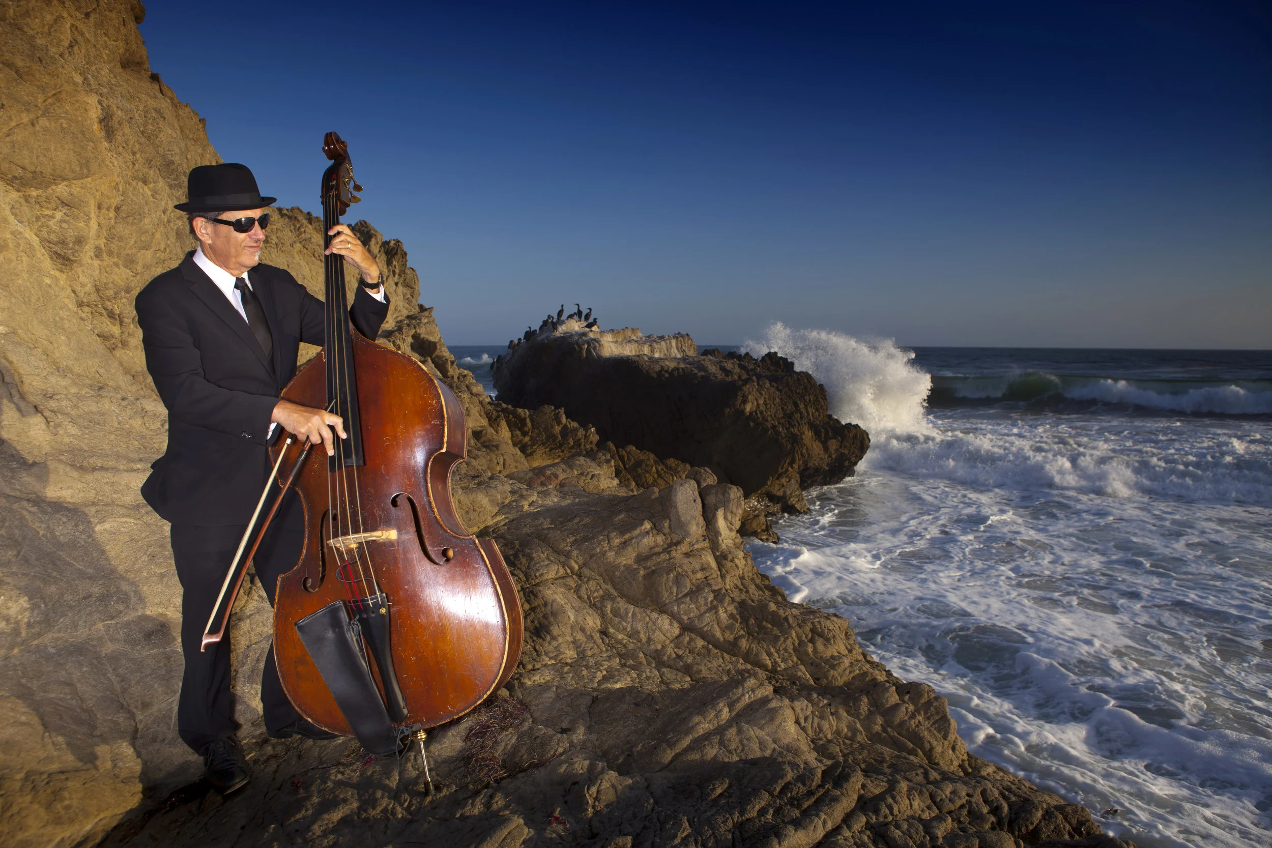 Bass player and gambist JIM GARAFALO