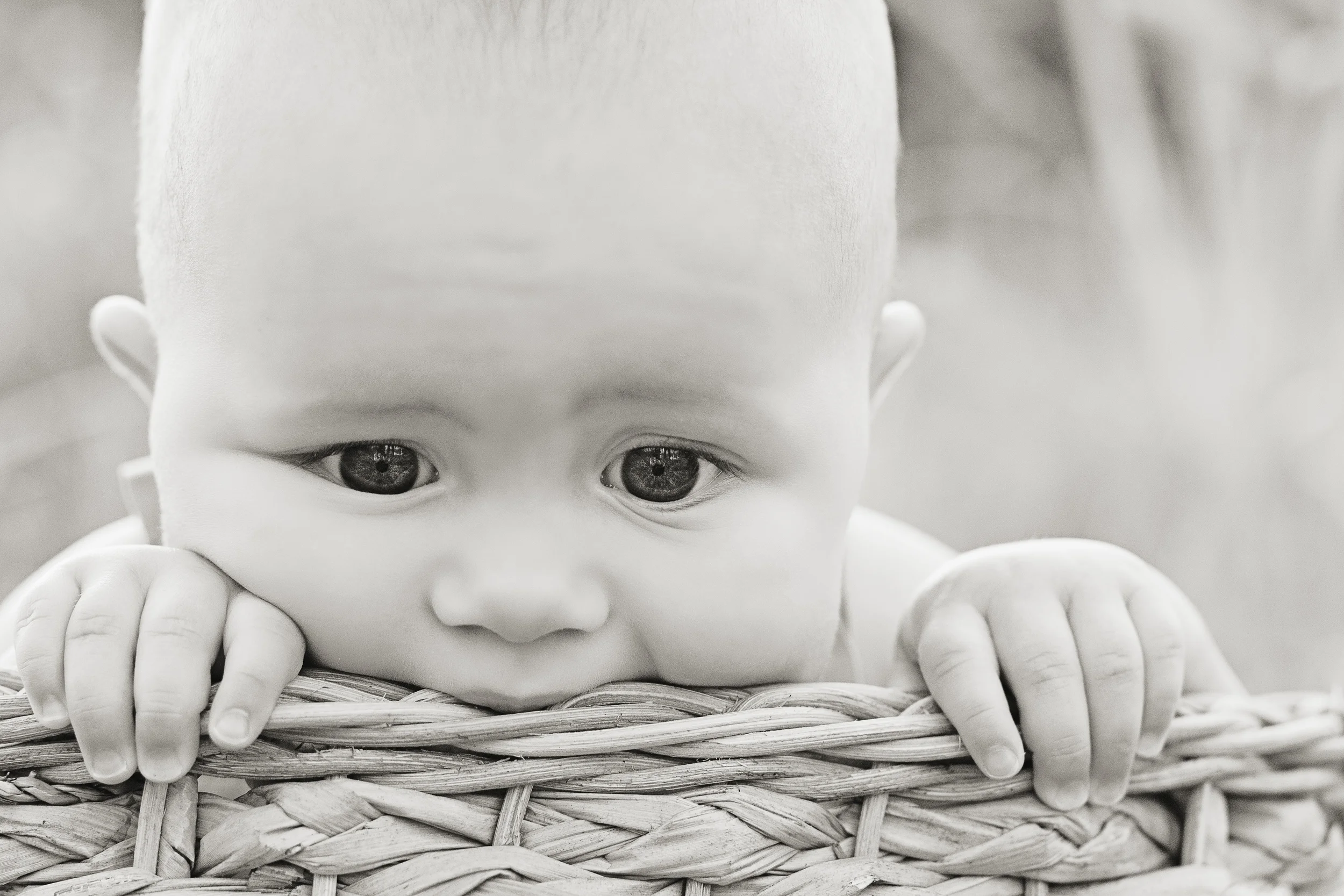 Little Seedling {thiele family}