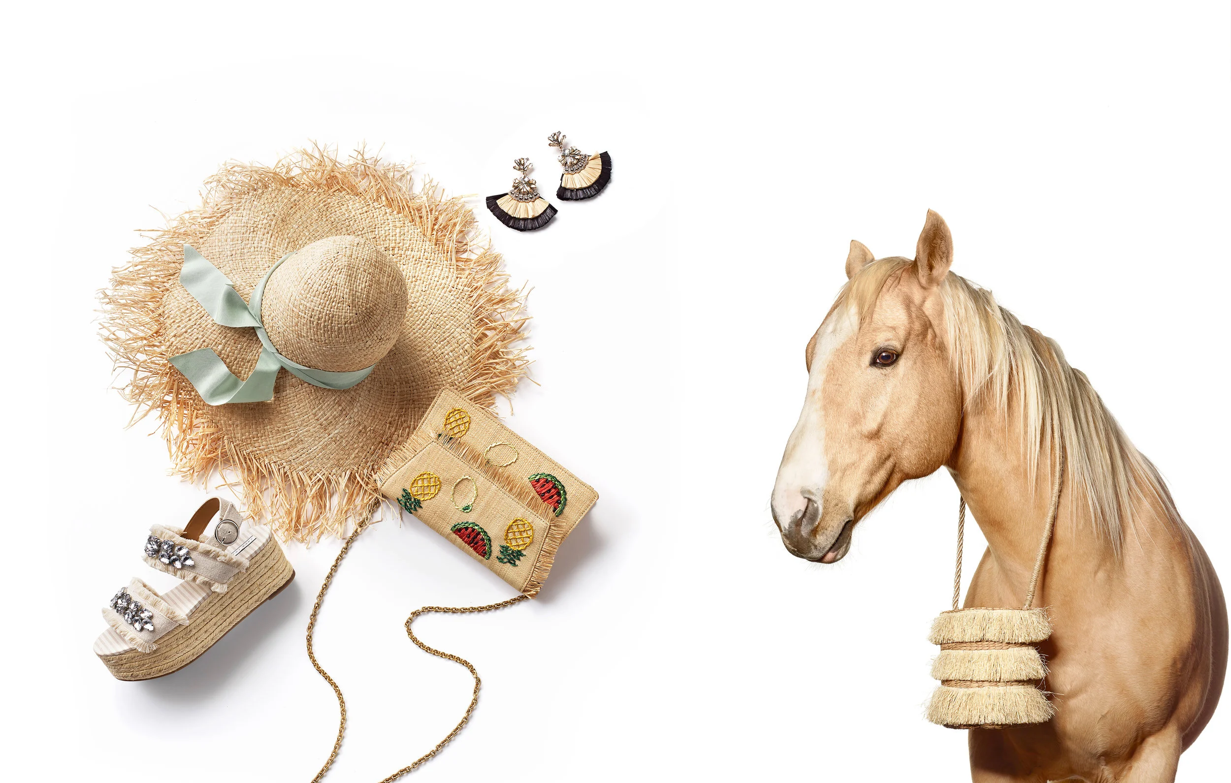 horse3.jpg