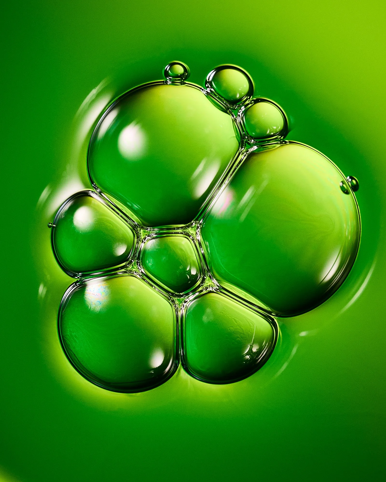 260430 Botanicals A 127.jpg