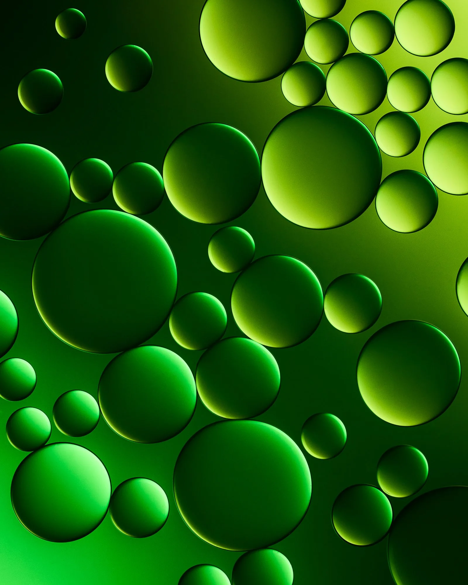 260430 Botanicals B 368.jpg