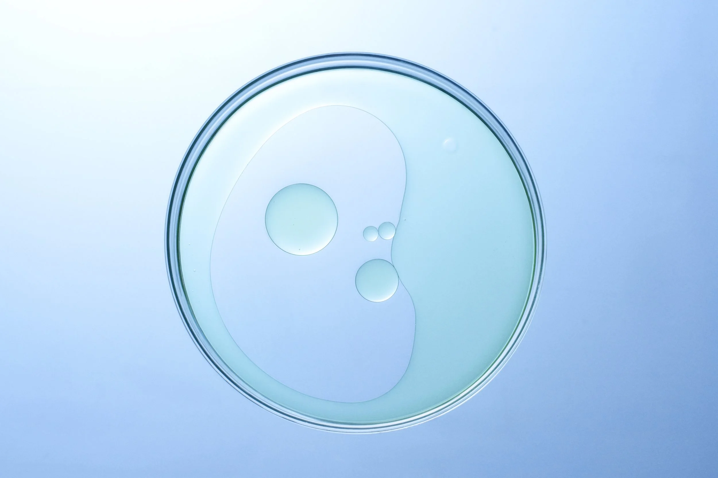 Dishes_4_0830.jpg
