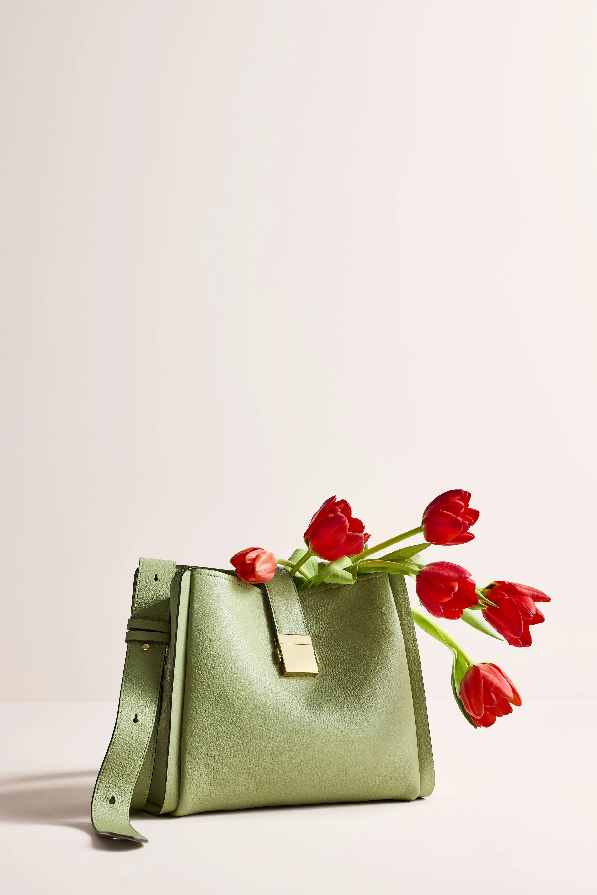 2474950_JAN_TJ_AK_MDAY_BAG_17248-R.jpg
