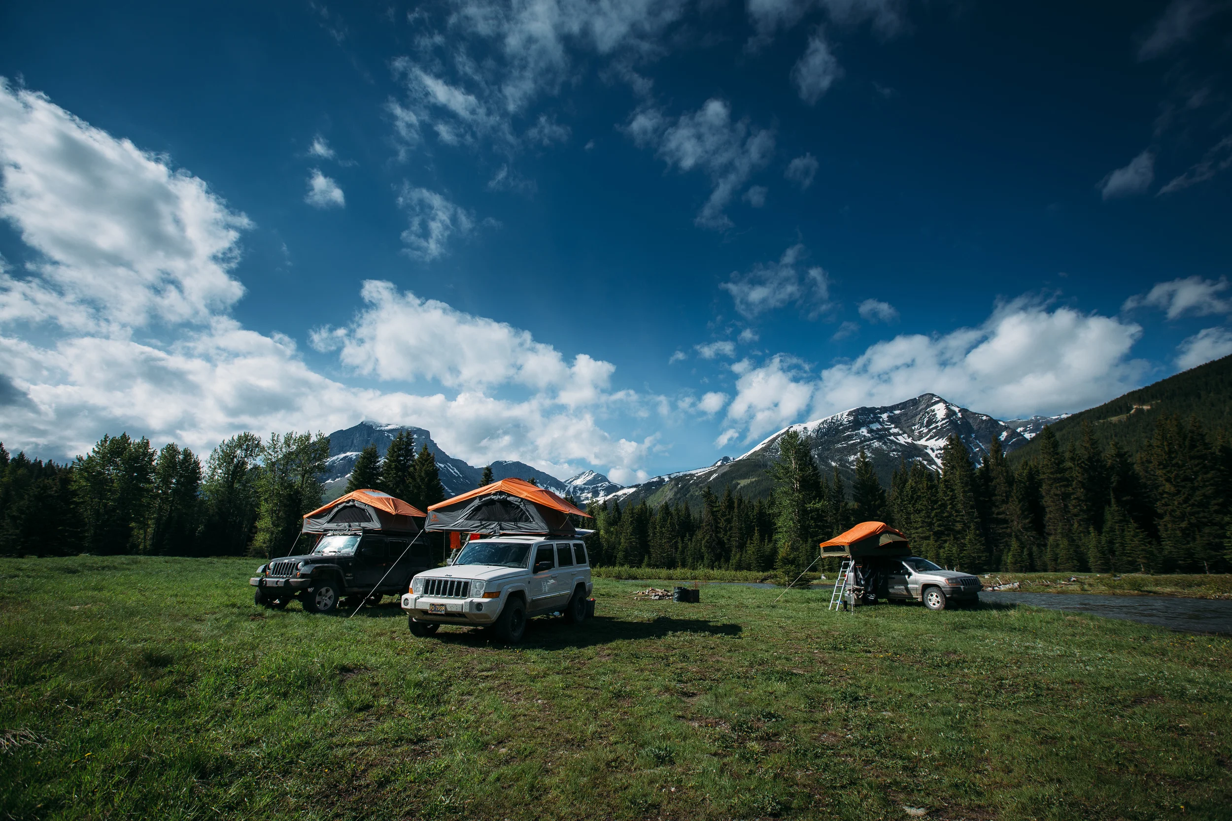 Treeline_Torch_Expedition-44.jpg
