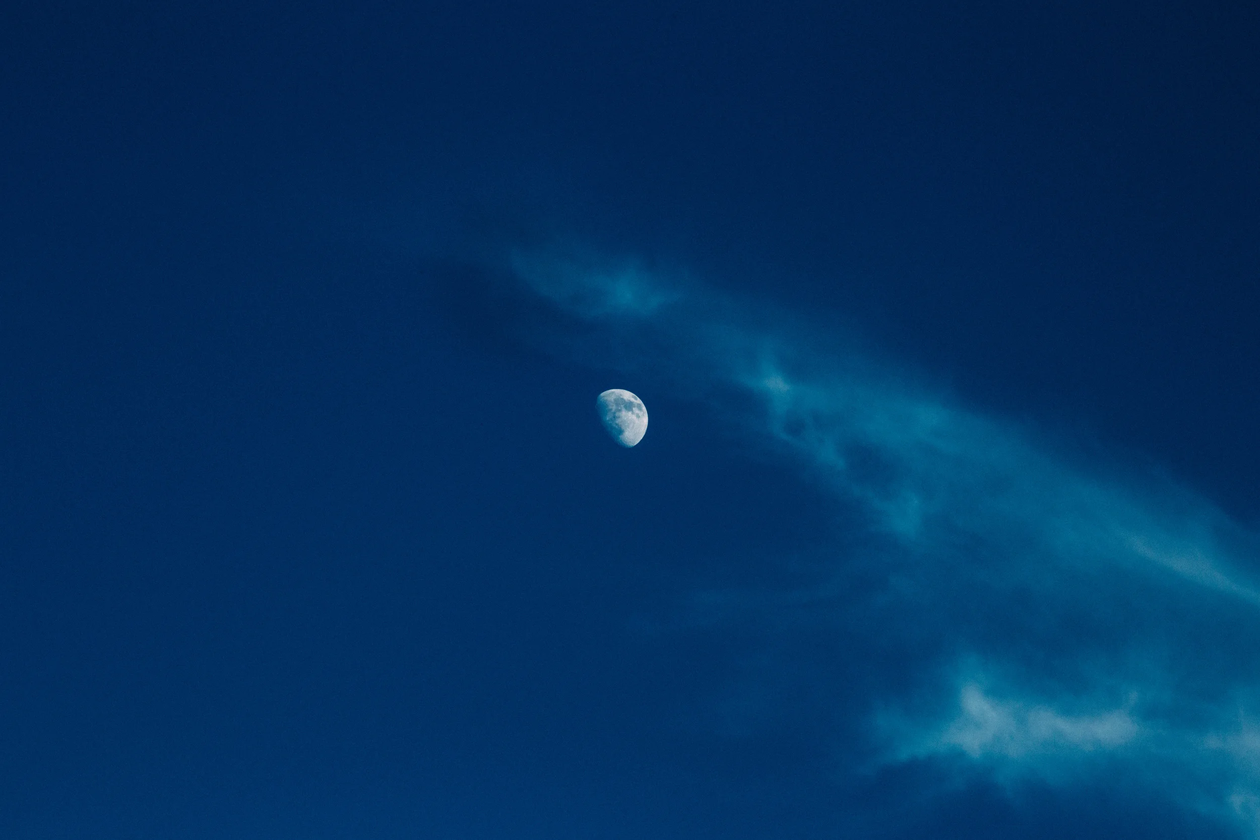 Treeline_Torch_Expedition-472.jpg