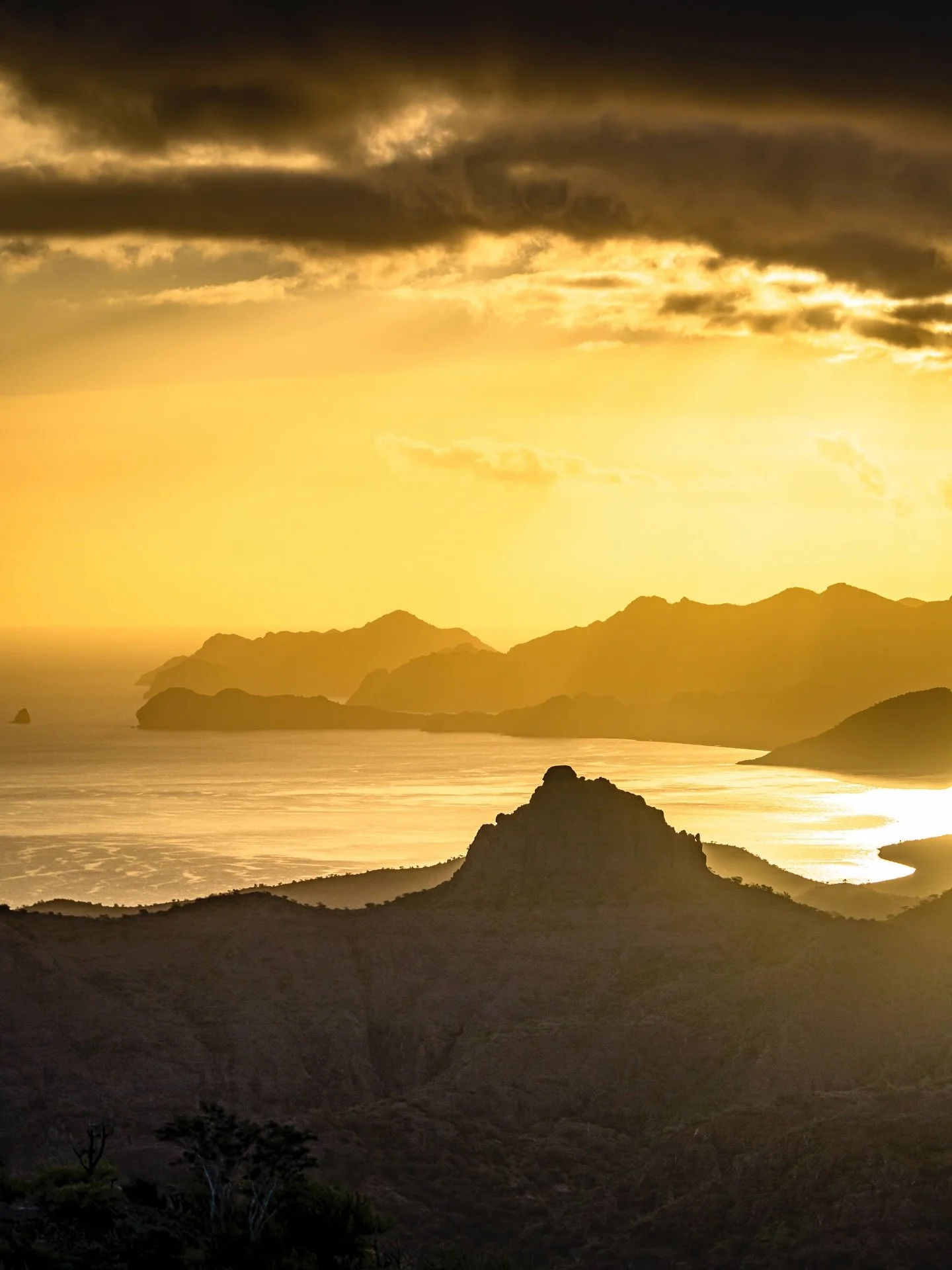 IT'S TIME to go to Mexico. Every year it's getting harder knowing I can't make it back. Soon, Baja. Soon.