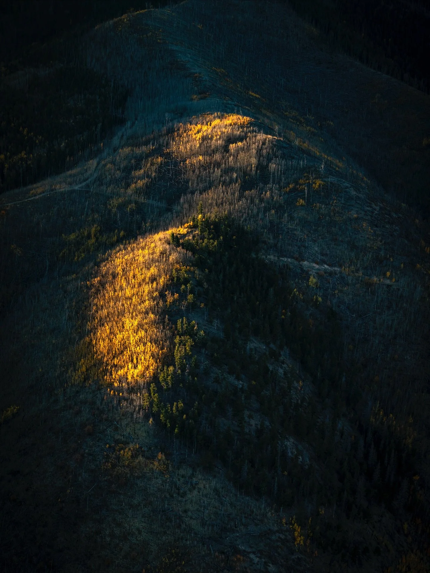 FALL - The season of surrender. The air sharpens, the light softens, and everything golden begins to let go. Trees shed what no longer serves them, trusting that rest will bring renewal. The world exhales, slowing into its own hibernation. Maybe we&r