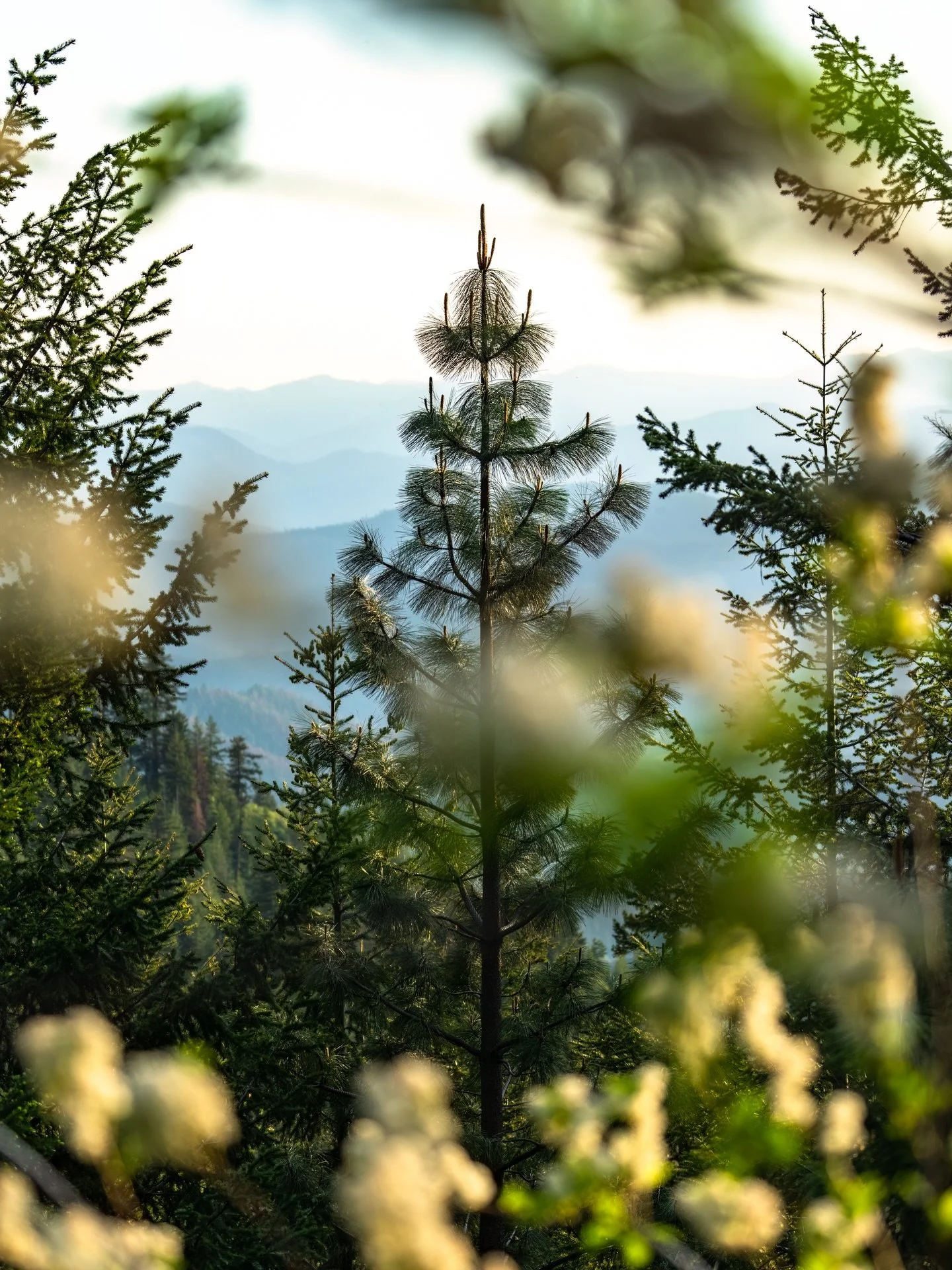 PRINTS AVAILABLE | True greatness demands a metamorphosis of the mind &mdash; a shedding of old fears, old narratives, old versions of ourselves that no longer serve where we&rsquo;re headed. My evolution lives in three pillars: my craft, my health, 