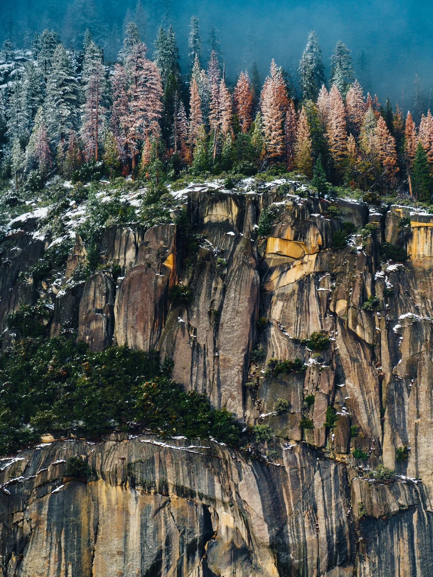 🎄🎅🏻 PRINTS AVAILABLE - LINK IN BIO 

Here are a few of my favorites that I've taken over the years waiting to find a good home this season. The memories behind each one we're and are still profound moments in my life. The joy that these wild place