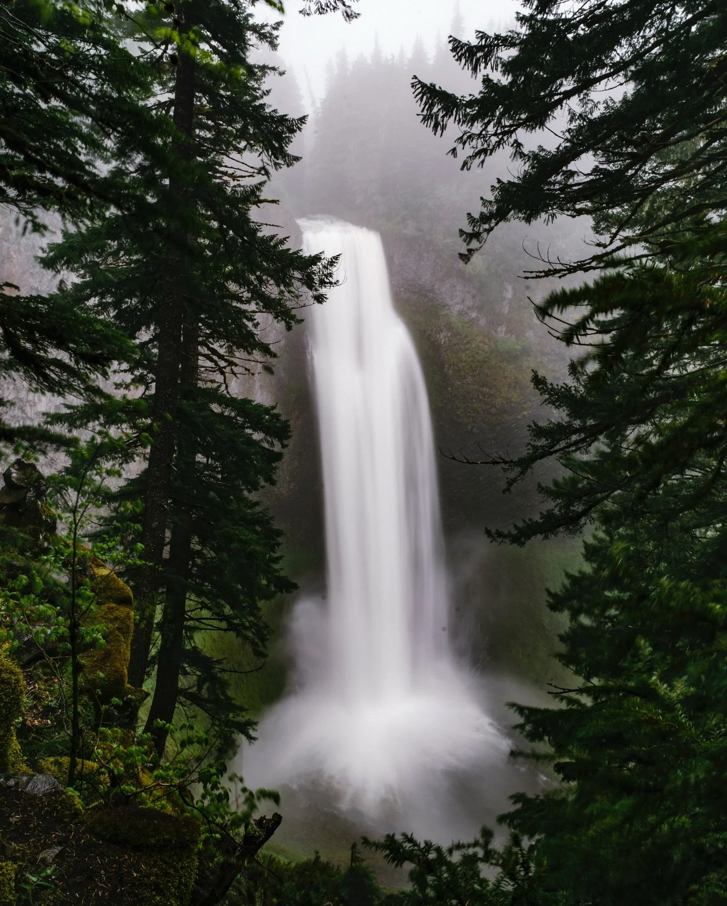 WHEN the fog closes in and the waterfalls take over, there&rsquo;s nothing left to hold onto... just sound, breath, and the quiet freedom of Oregon. 

Here's to the best ever 2026. There's nowhere but up from here.

#wearestillwild #waterfalls #orego