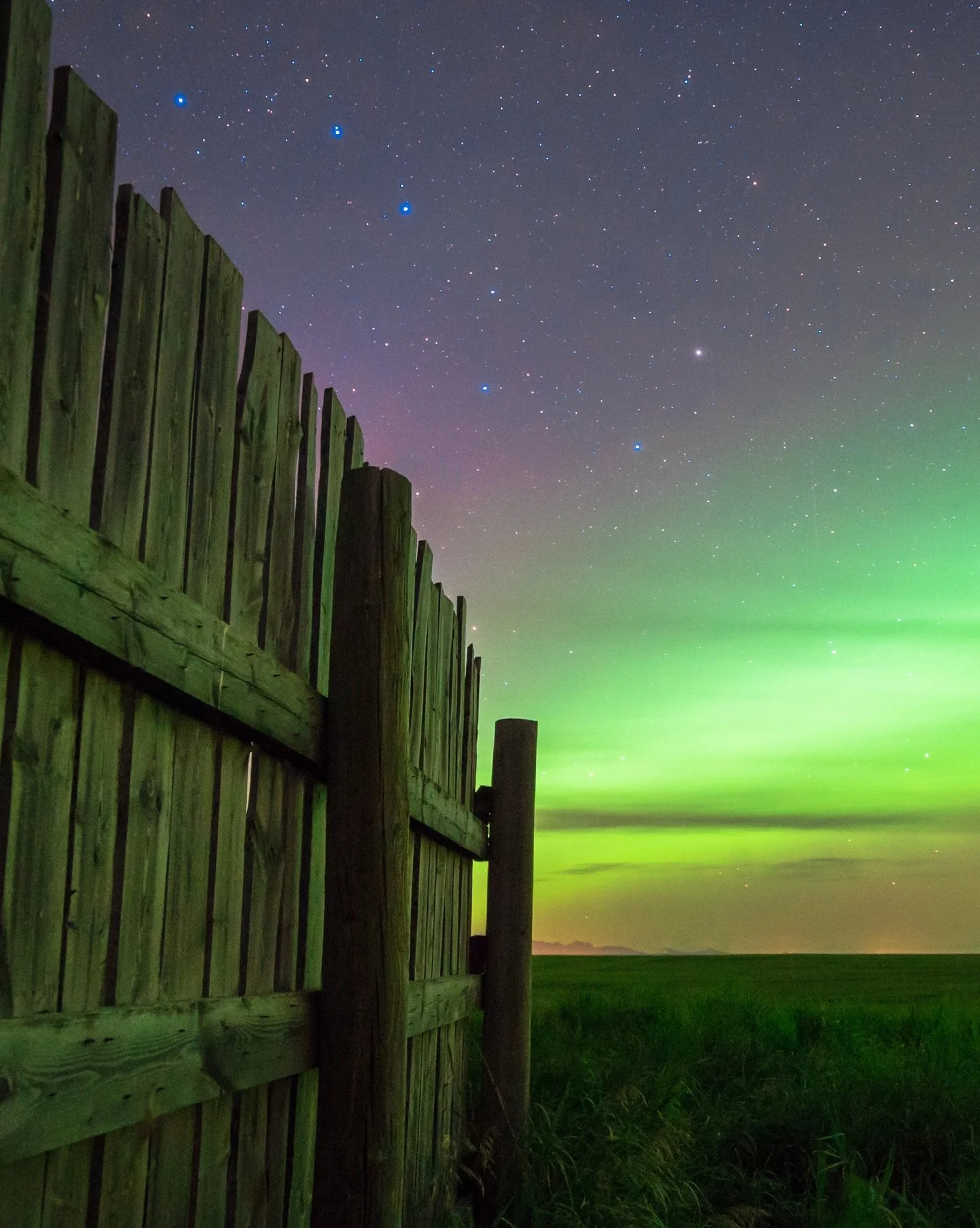 THE night that set my compass for life.
The first time I saw the Northern Lights, something permanent shifted inside me. Beneath curtains of green and violet light, standing among 40-million-year-old dinosaur bones etched into the earth, time collaps