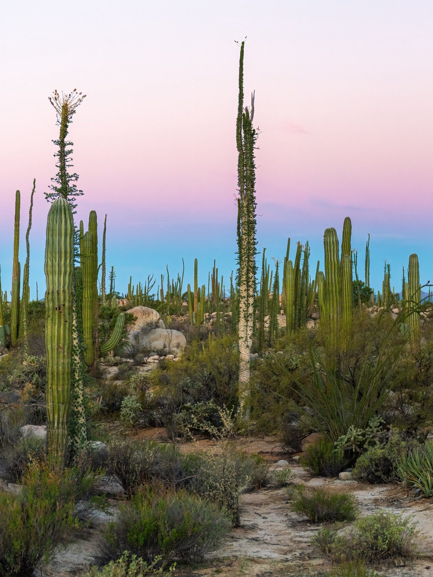 STORY TIME / 

The sky turns soft before it goes dark.
Cotton-candy hues&mdash;rose, lavender, pale turquoise&mdash;bleed gently into one another as if the day is exhaling. And behind it all, almost imperceptible unless you know to look, is the shado