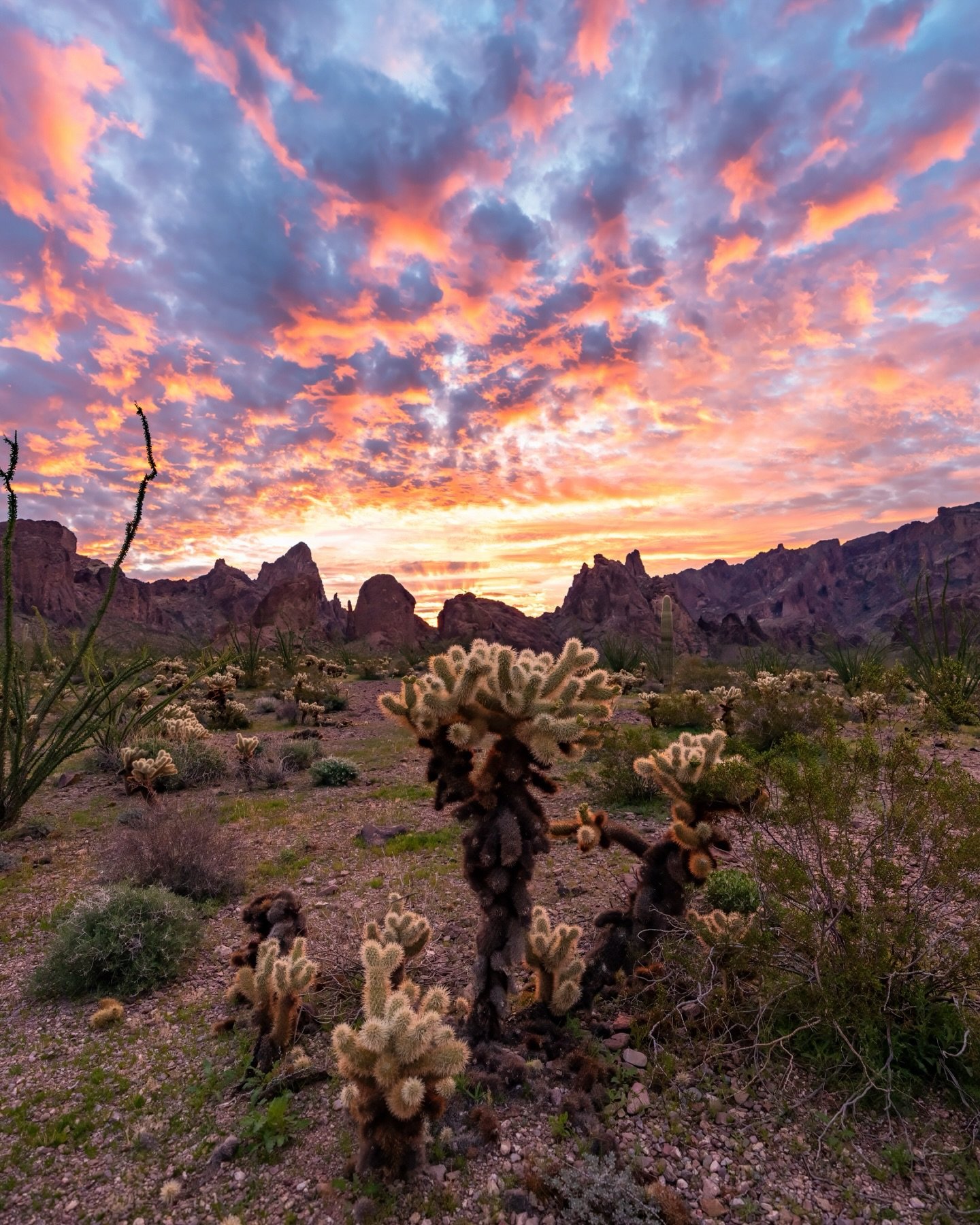 TWO YEARS can fly by and your whole world can change. The beauty in it is being able to look back at every chapter and stand proud of the path you carved, then let it fuel the ones still unwritten.

This series came from a place of clarity. Presence.