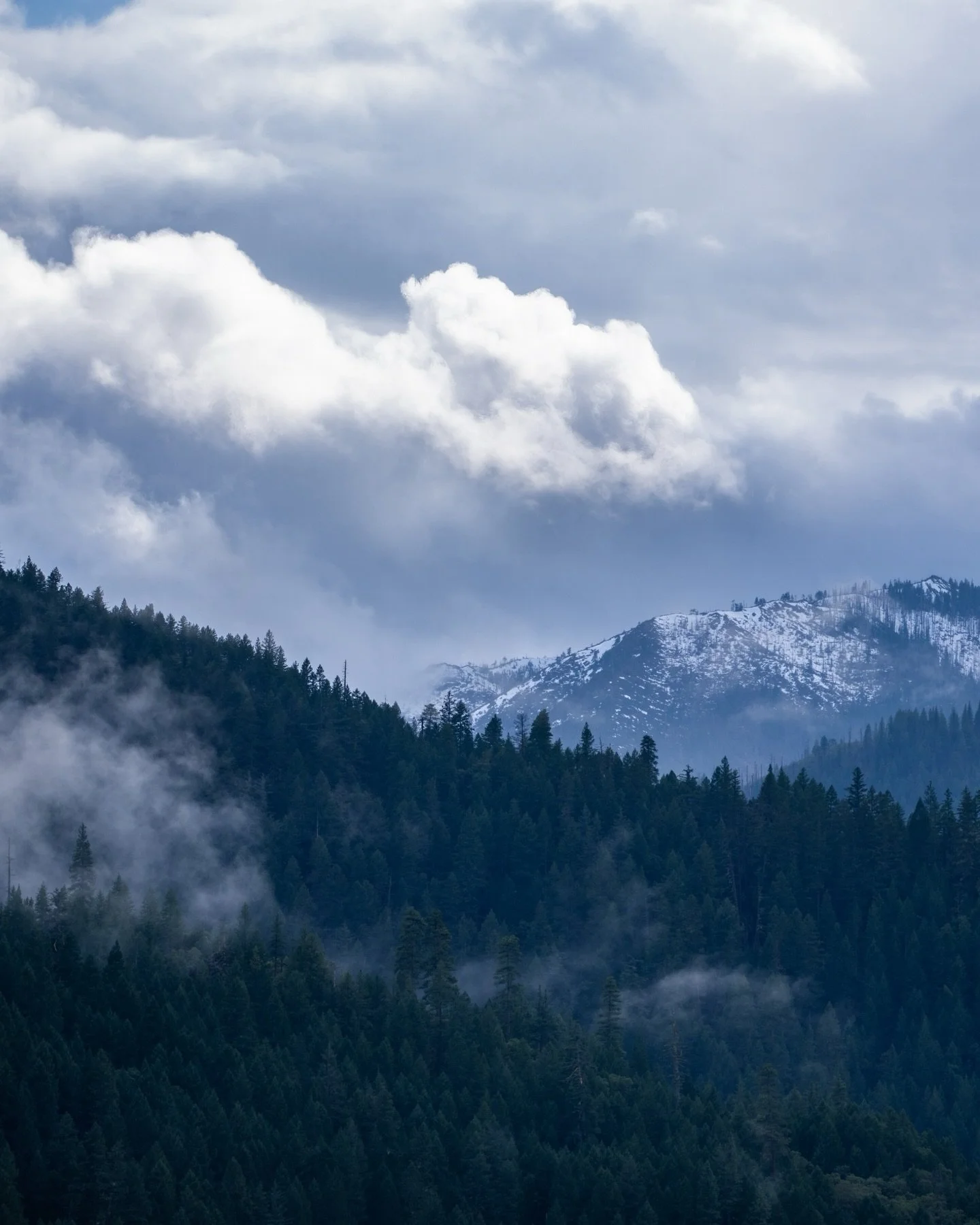THIS is my backyard. A small slice of southern Oregon where nothing holds still for long.

Same day, same sky, just shifting moods. Clouds threading the mountains, fog caught in the timber, brief openings of blue that never fully commit. The valley w
