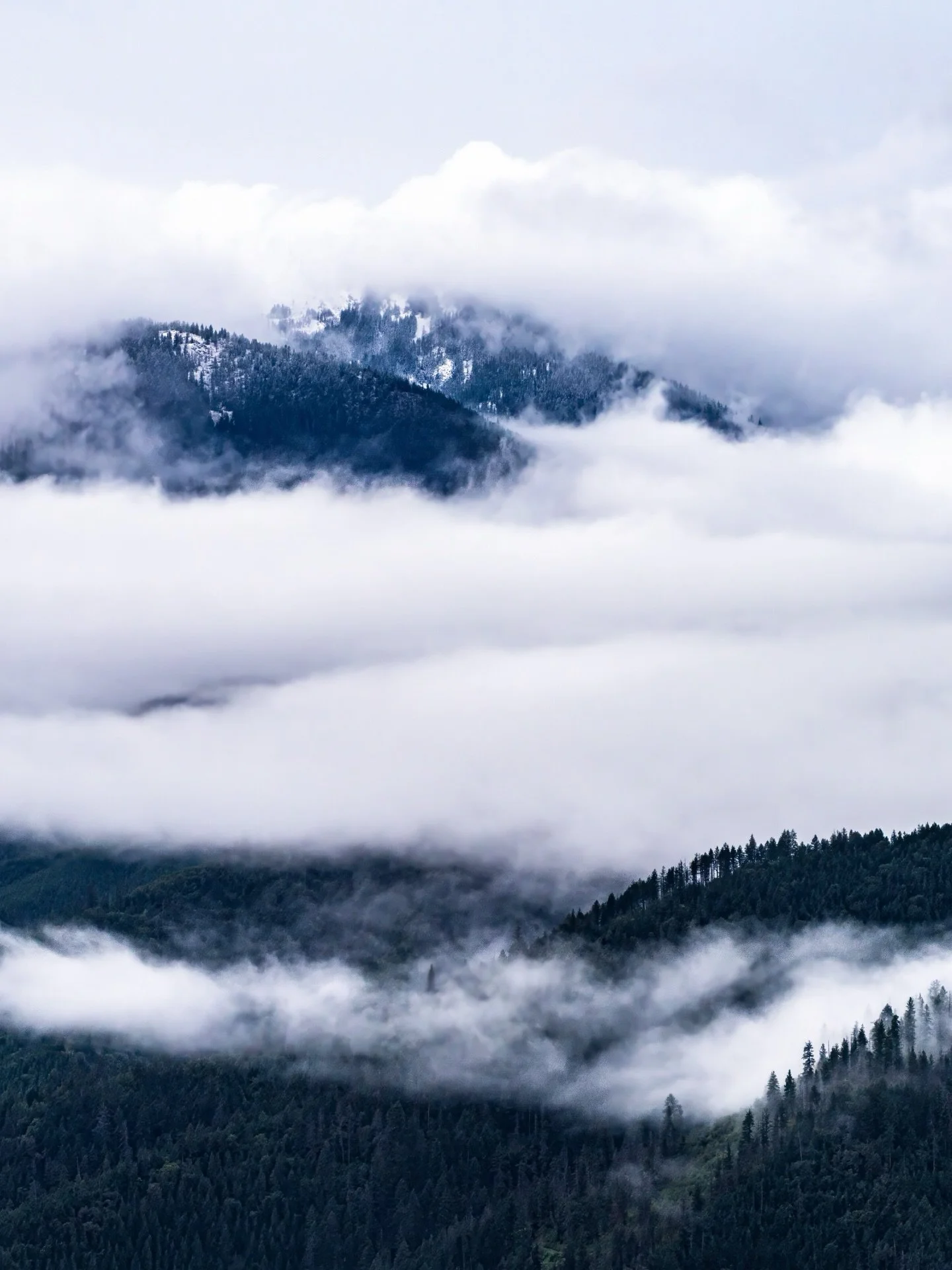 ⛺️ BASE CAMP: a tent, sleeping setup, and gear. 
🌨️ CONDITIONS: euphoric but questionable. 
🎥 RESULTS: this and so much more.

The Pacific Wonderland has a way of rewarding patience, not with sunshine, but with something better. Mist that moves lik
