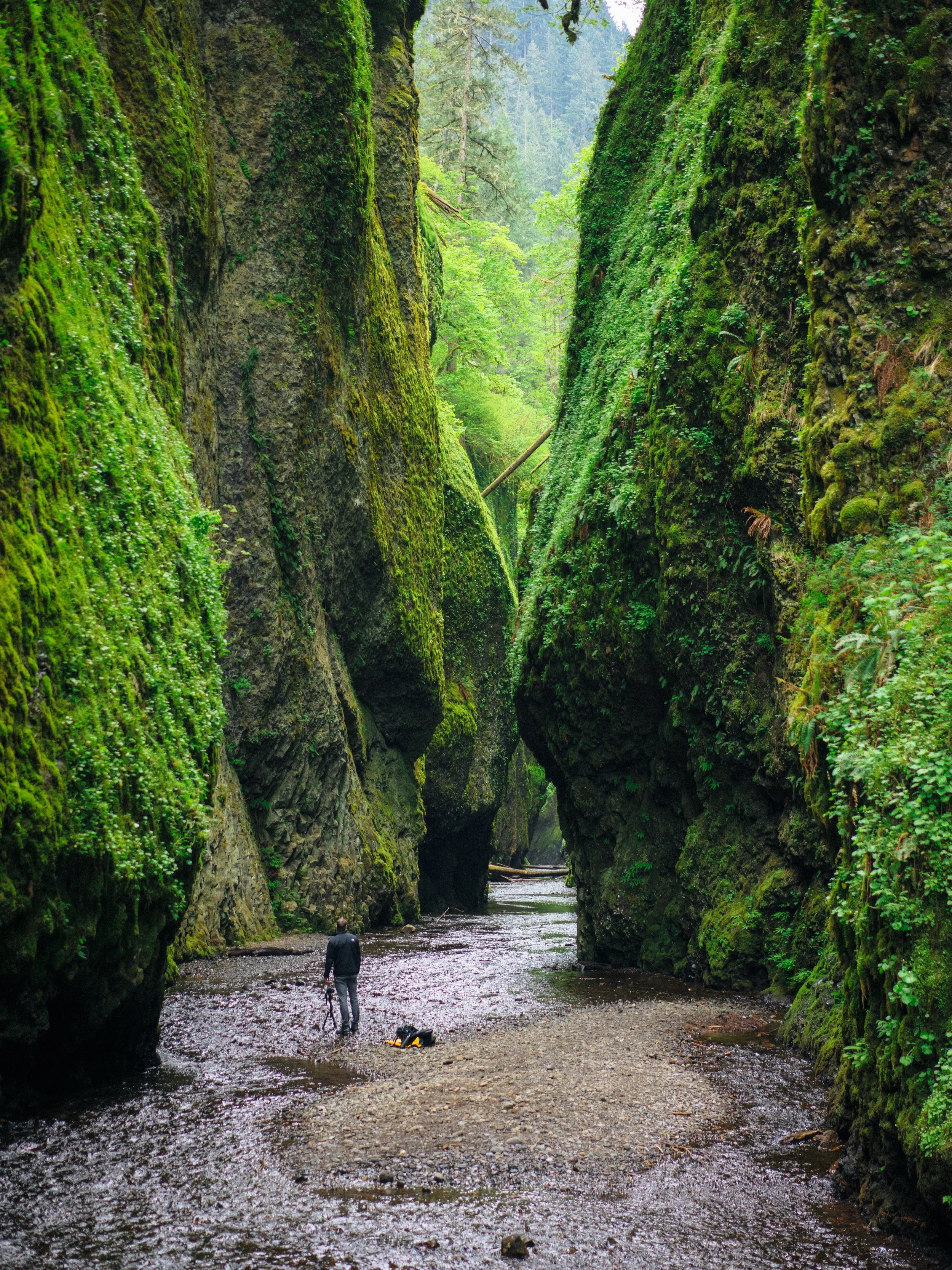 EYES BLINK OPEN. Then again. The walls are real.
Moss-covered rock rising on both sides, dripping. Your boots hit gravel, then mud, then snow you didn&rsquo;t see coming. It finds the gap every time.

The smell arrives before anything else. Dirt. Pin