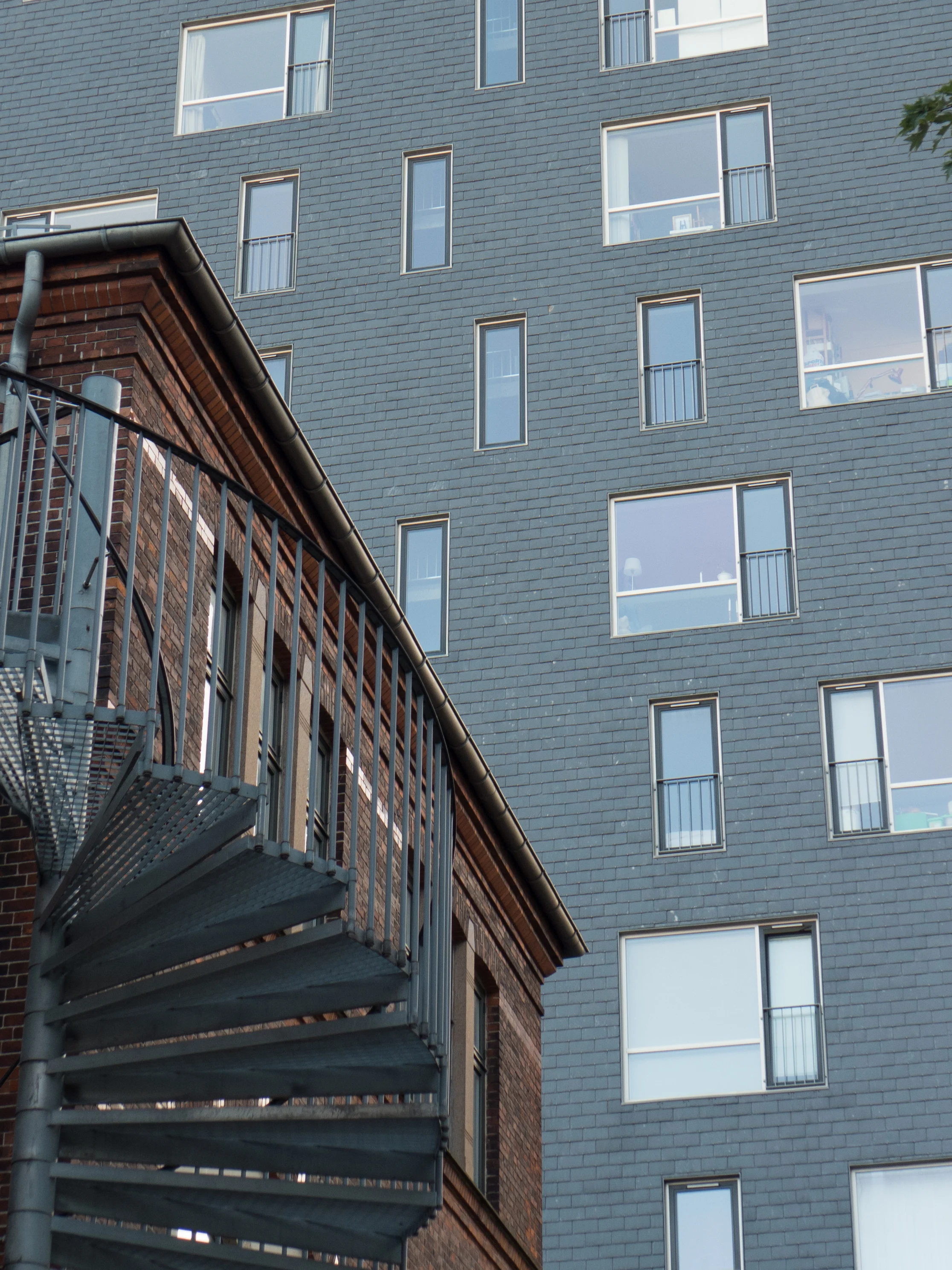 L1040050.jpg