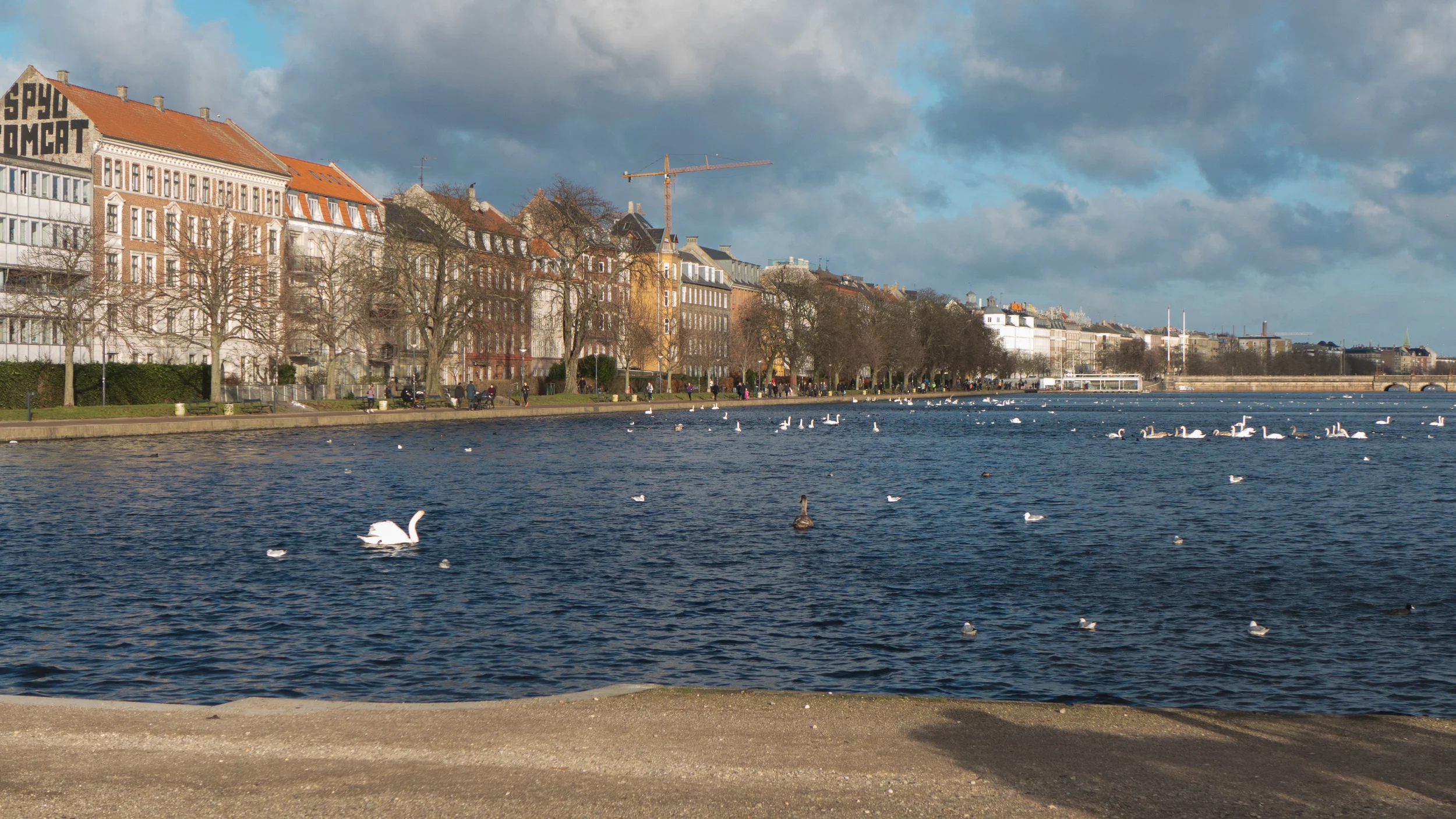 L1050405.jpg
