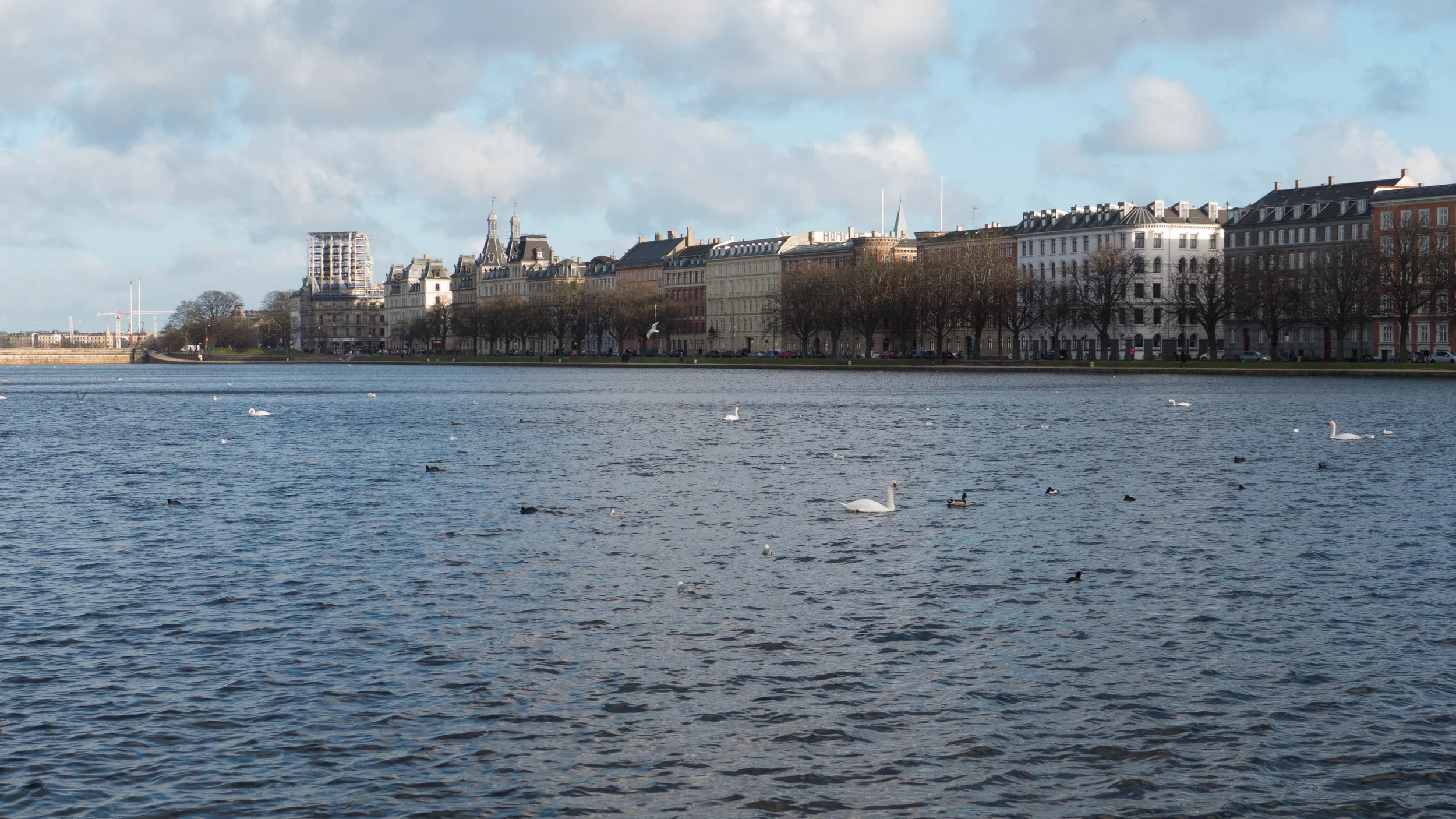 L1050406.jpg