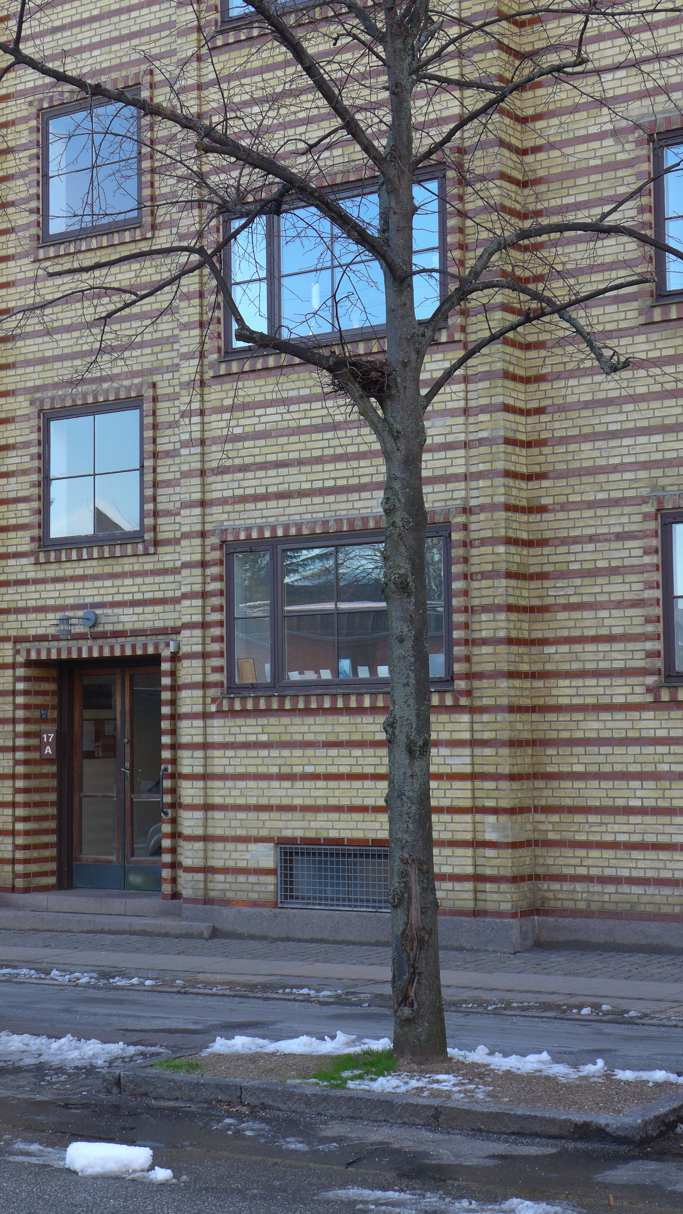 L1110432.jpg
