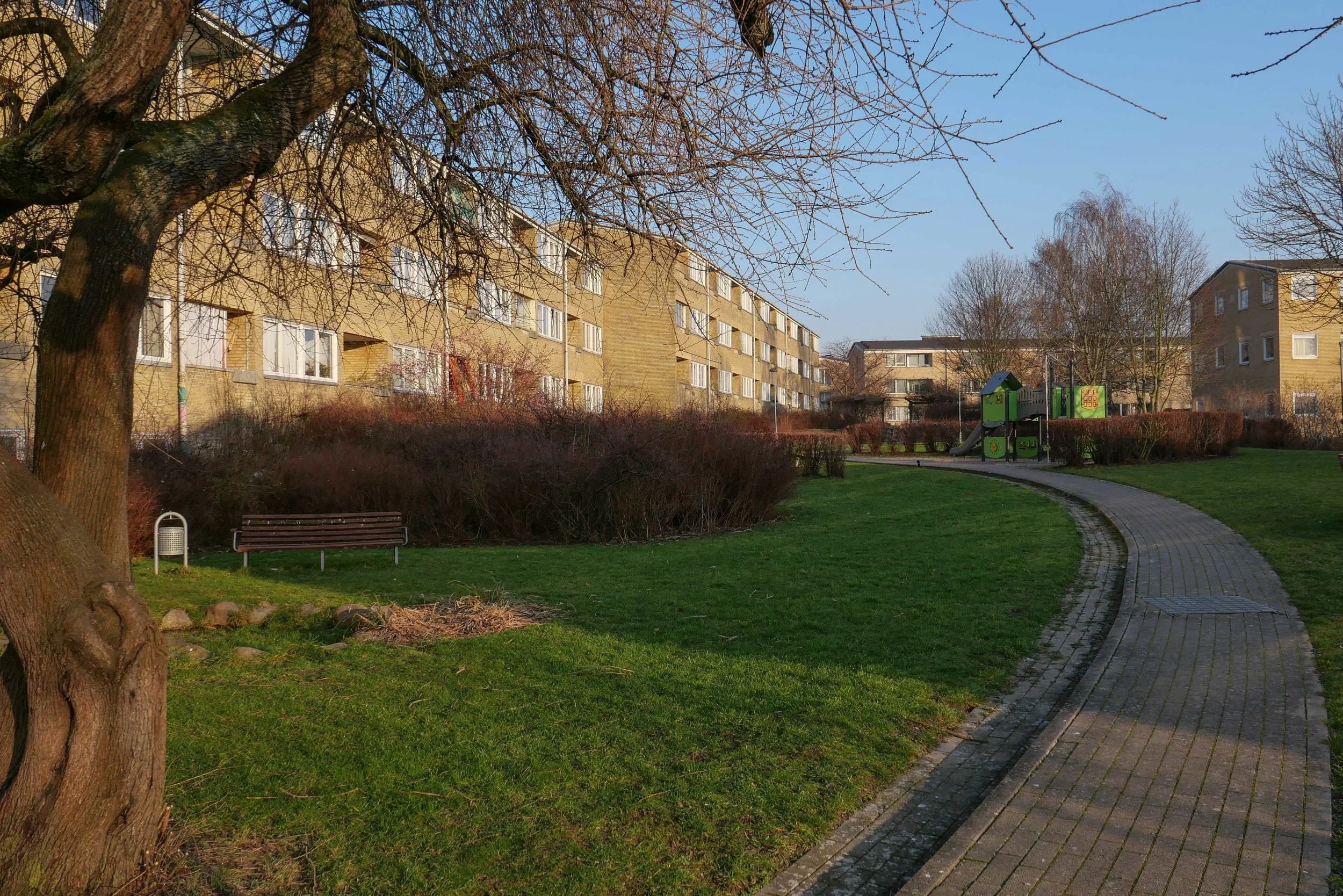 L1000325.jpg