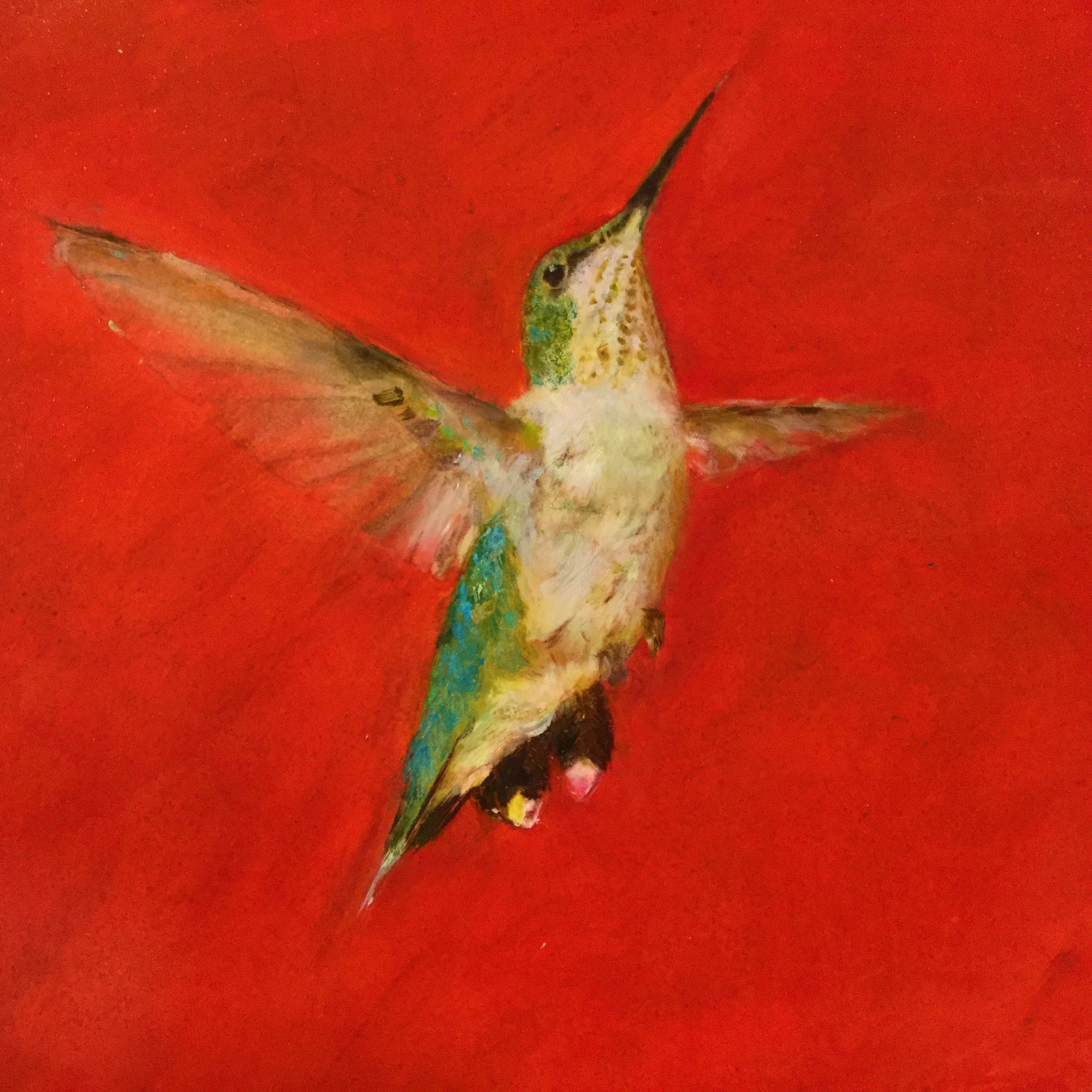 Henry's Hummingbird