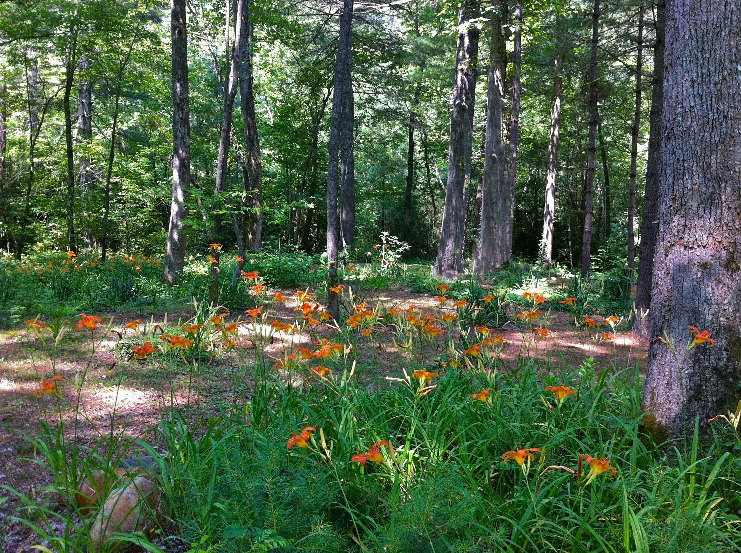 Grouse Run is comprised of 40 acres of majestic forest, gardens, private trails, a 24 foot Medicine Wheel and pristine mountain streams. For an ideal retreat experience, take advantage of the clean and comfortable accommodations available at this secluded property nestled in the mountains of Hendersonville, NC, 25 miles south of Asheville. 