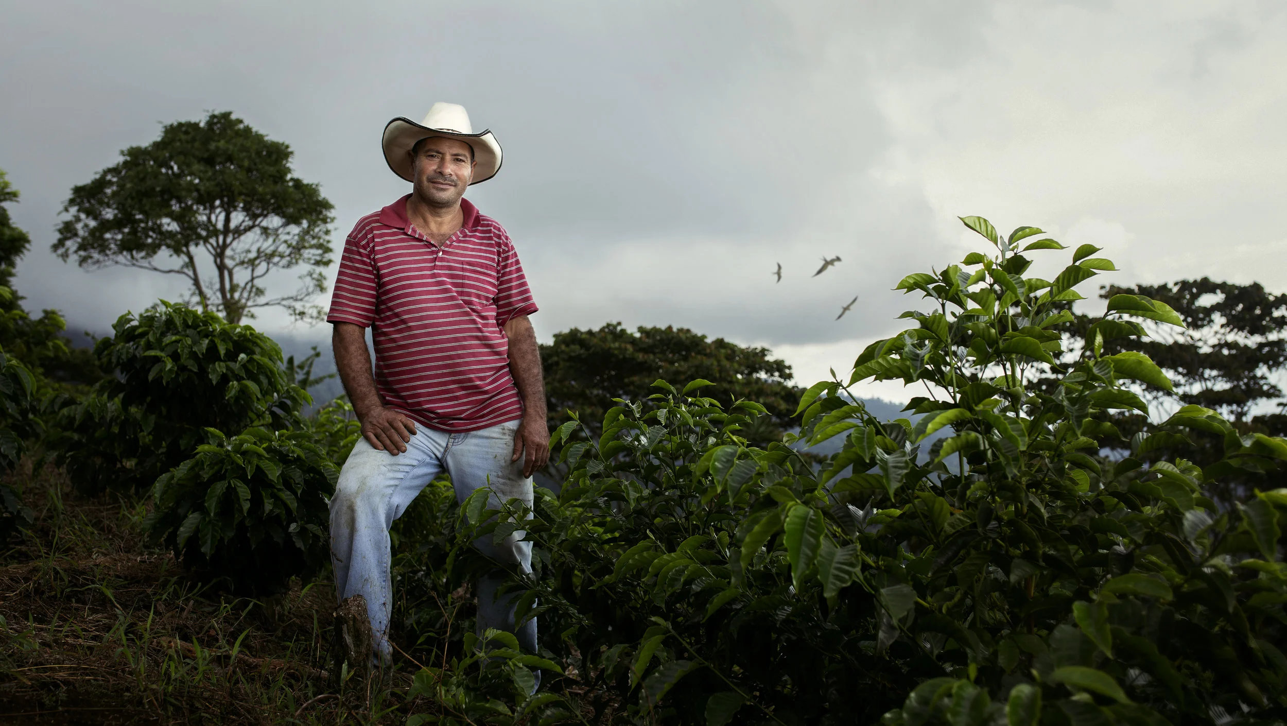 Honduras Coffee Farmers