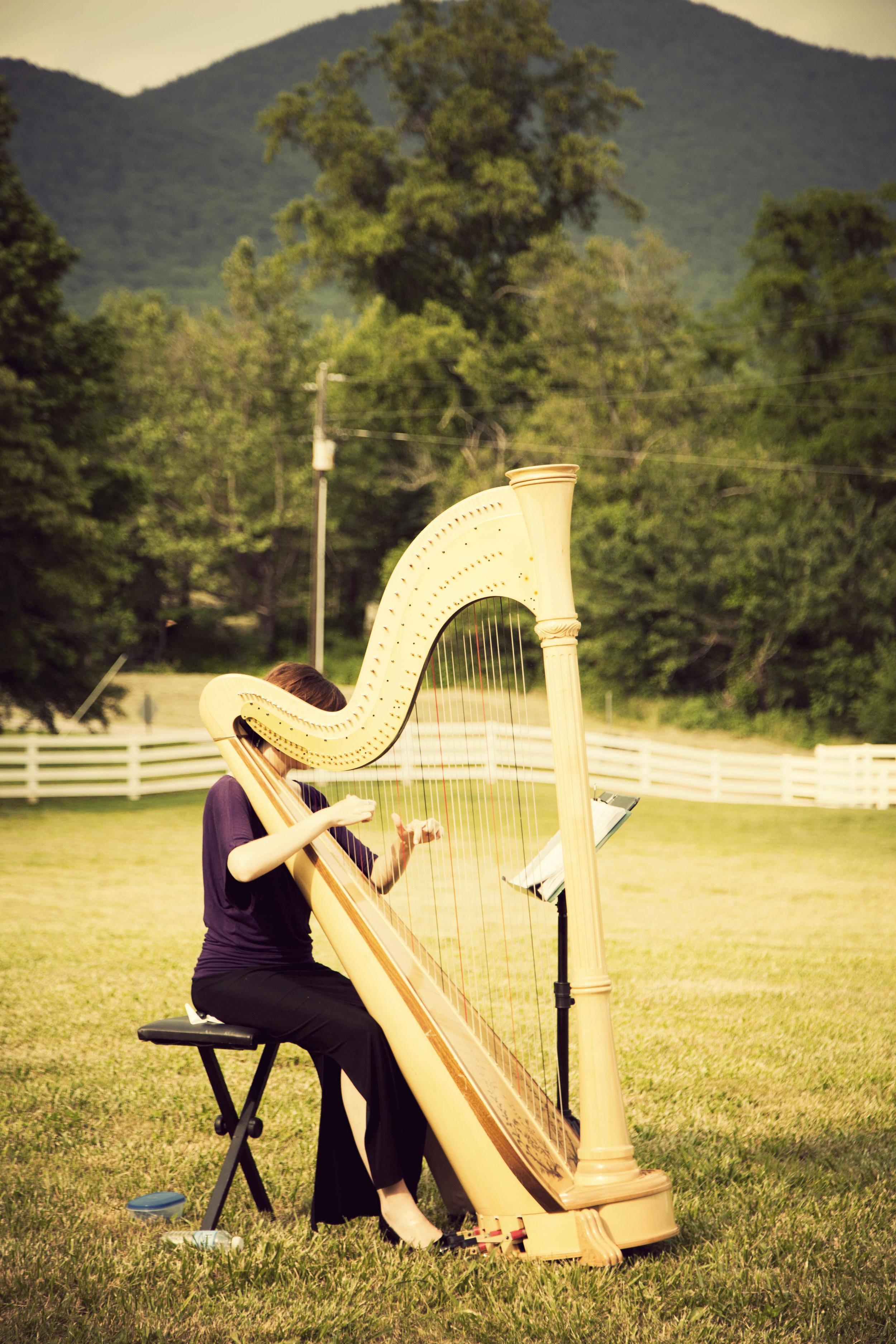 Mountain Weddings in Georgia