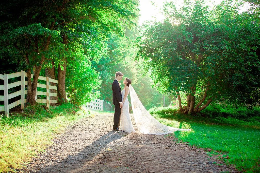 North Georgia Mountain Wedding