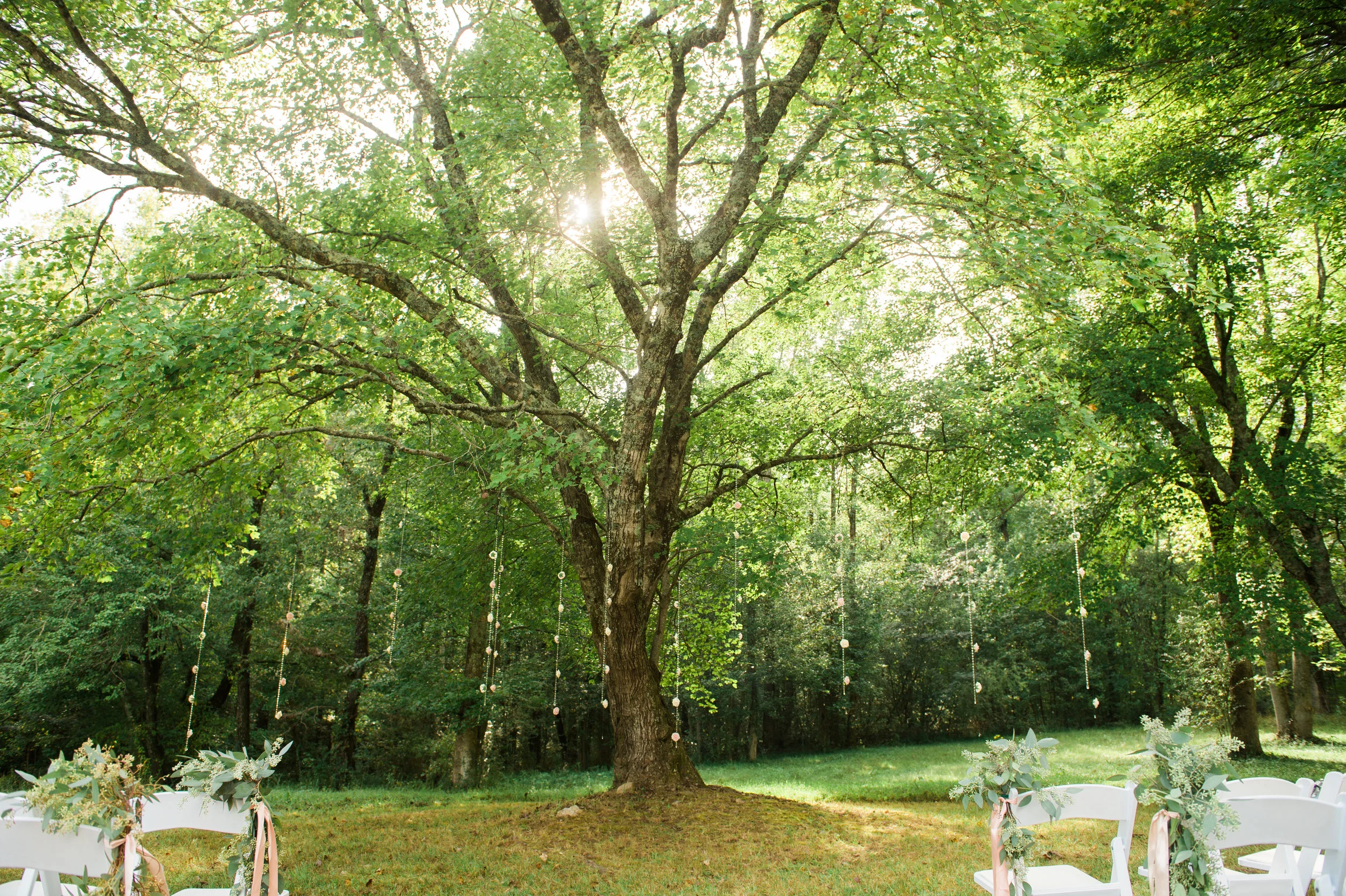 Outdoor Wedding Georgia Mountains