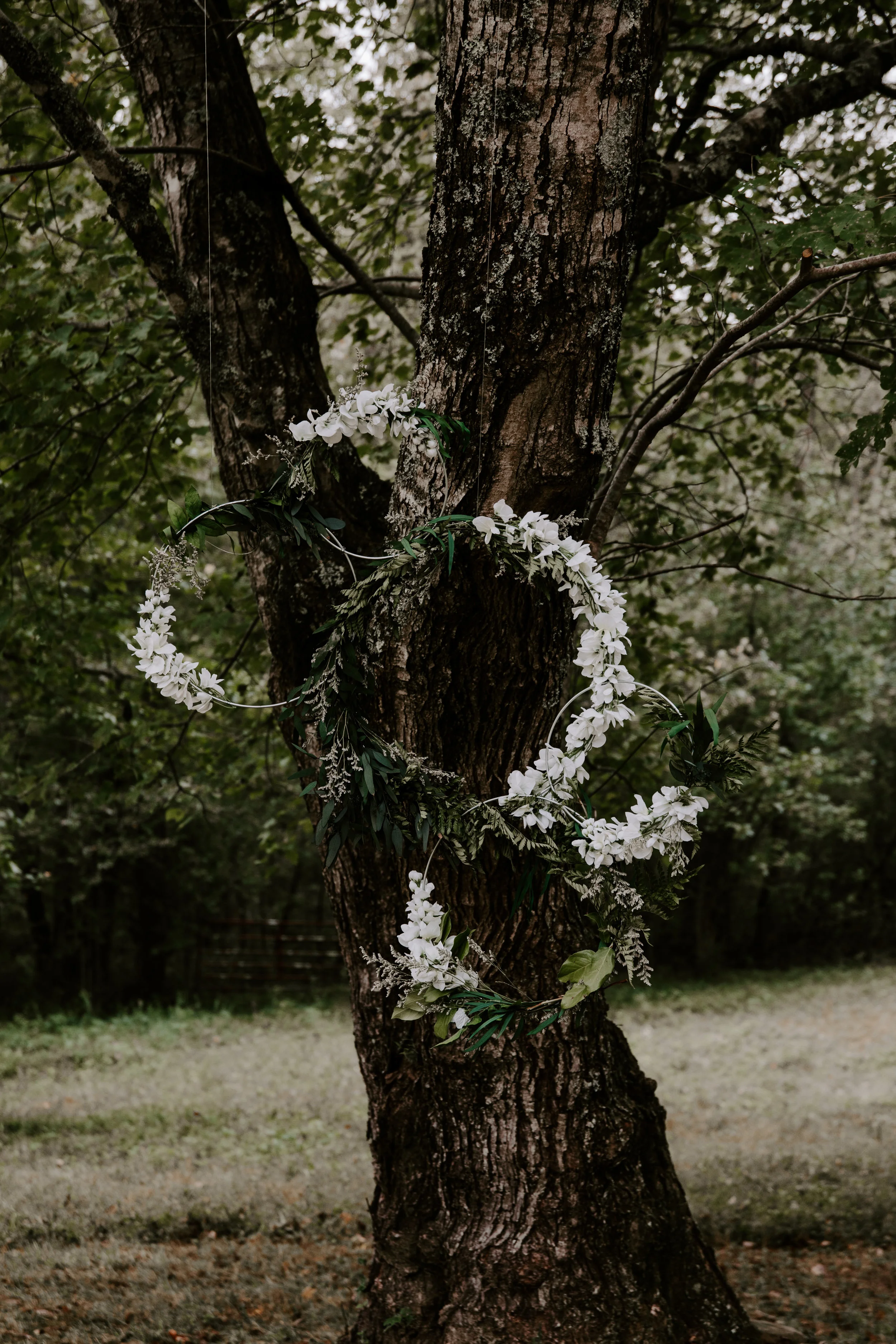 Ga Mountain Wedding Venue