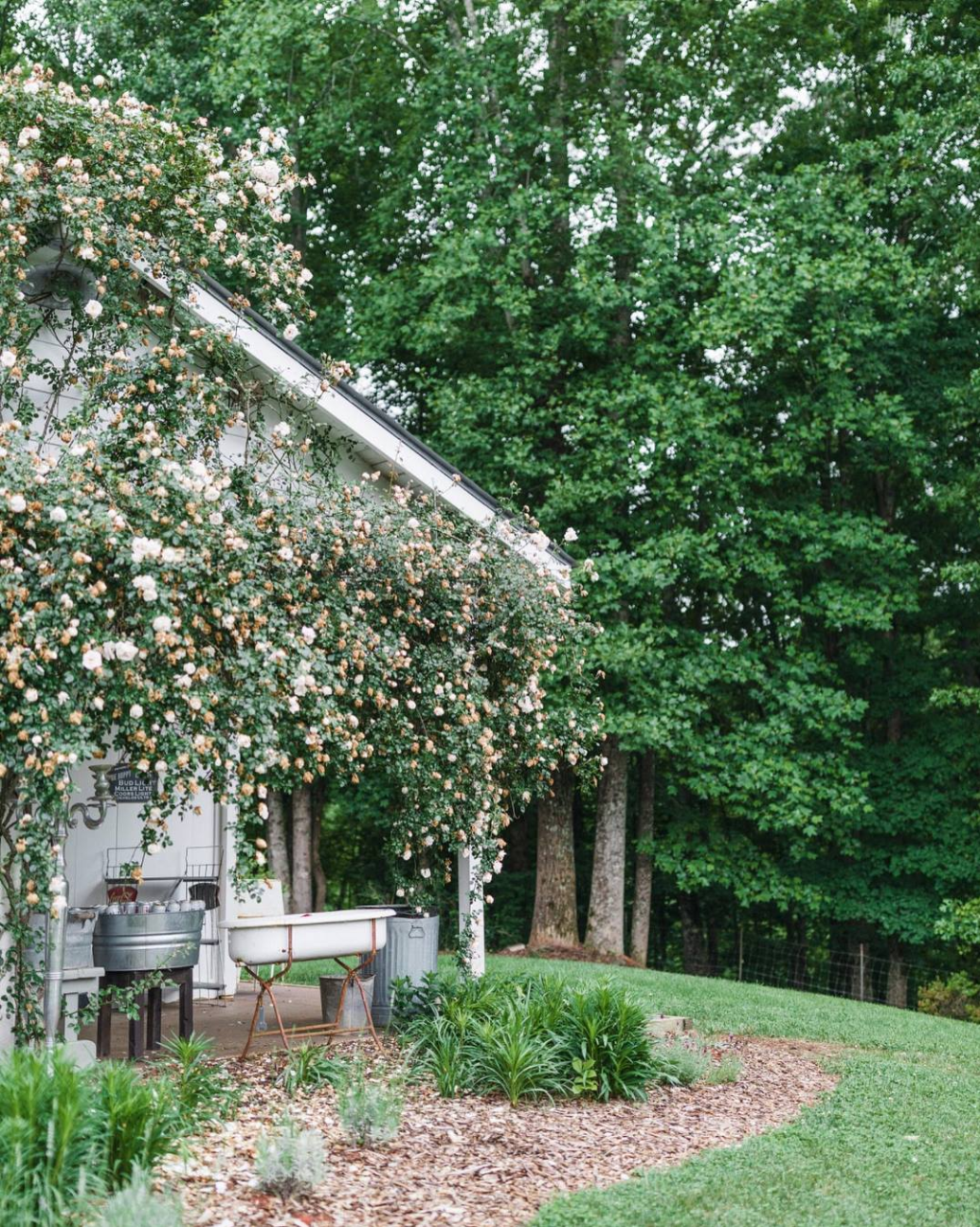 Wedding Reception in North Georgia