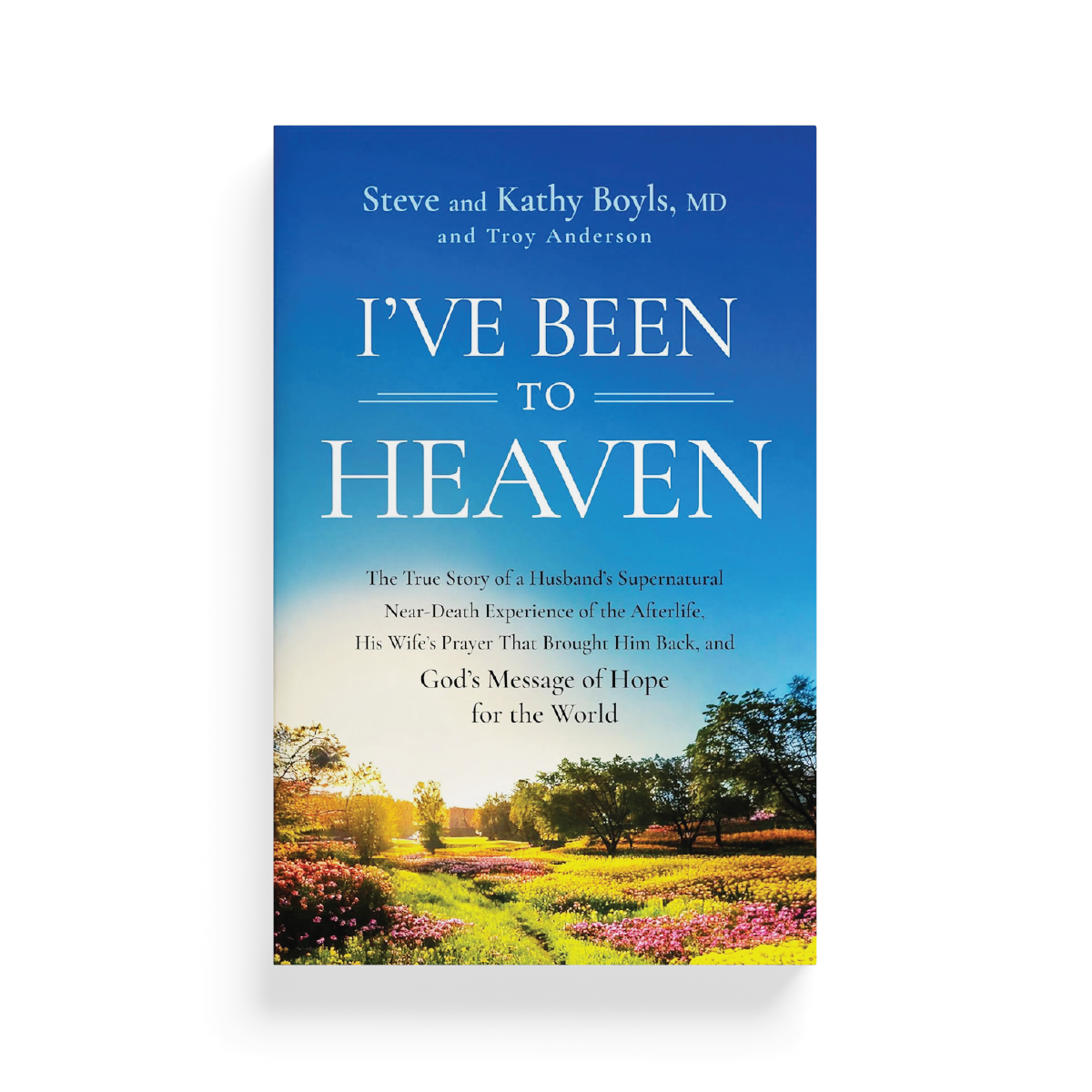 Ive Been to Heaven.png