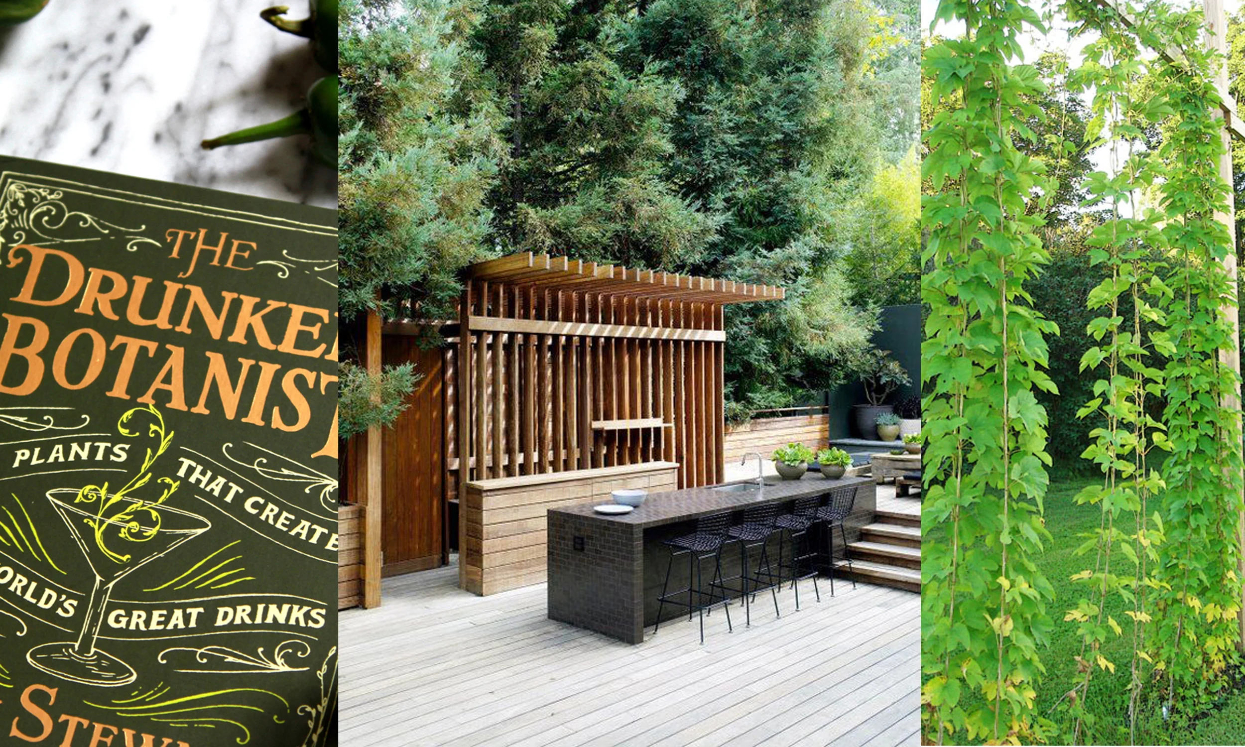 Drunken Botanist via Gardenista, Outdoor kitchen by Commune via Gardenista , hops