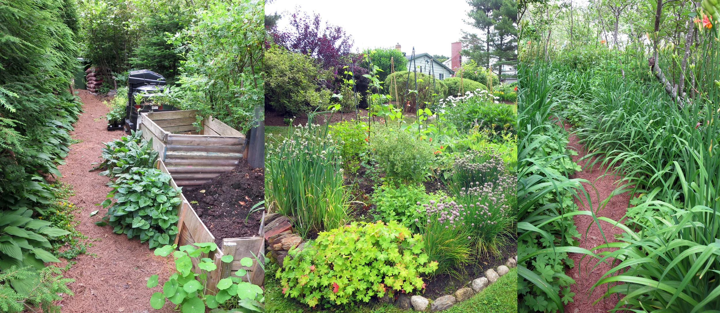 Perennial Garden