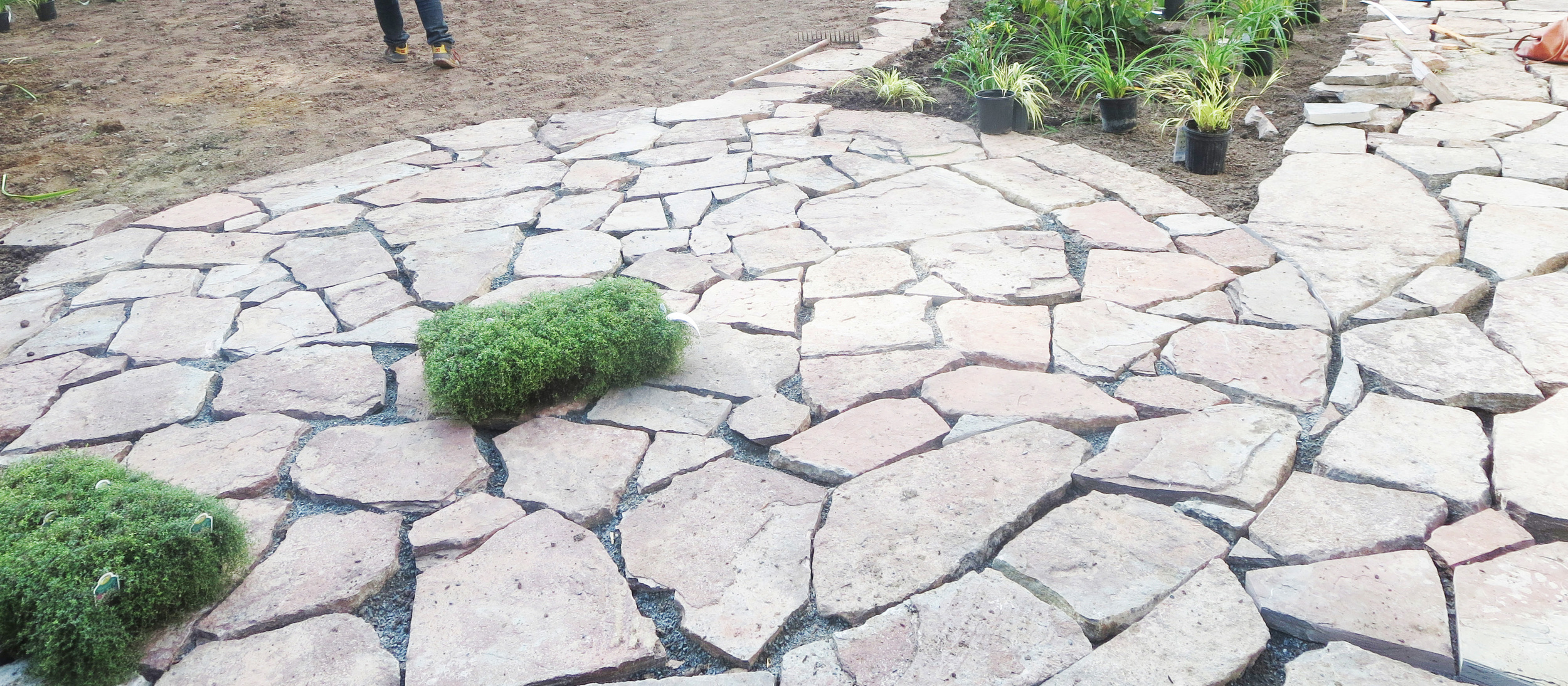 patiocropguy.jpg