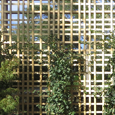trellis panel.jpg
