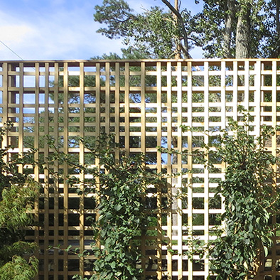 trellis panel sky.jpg